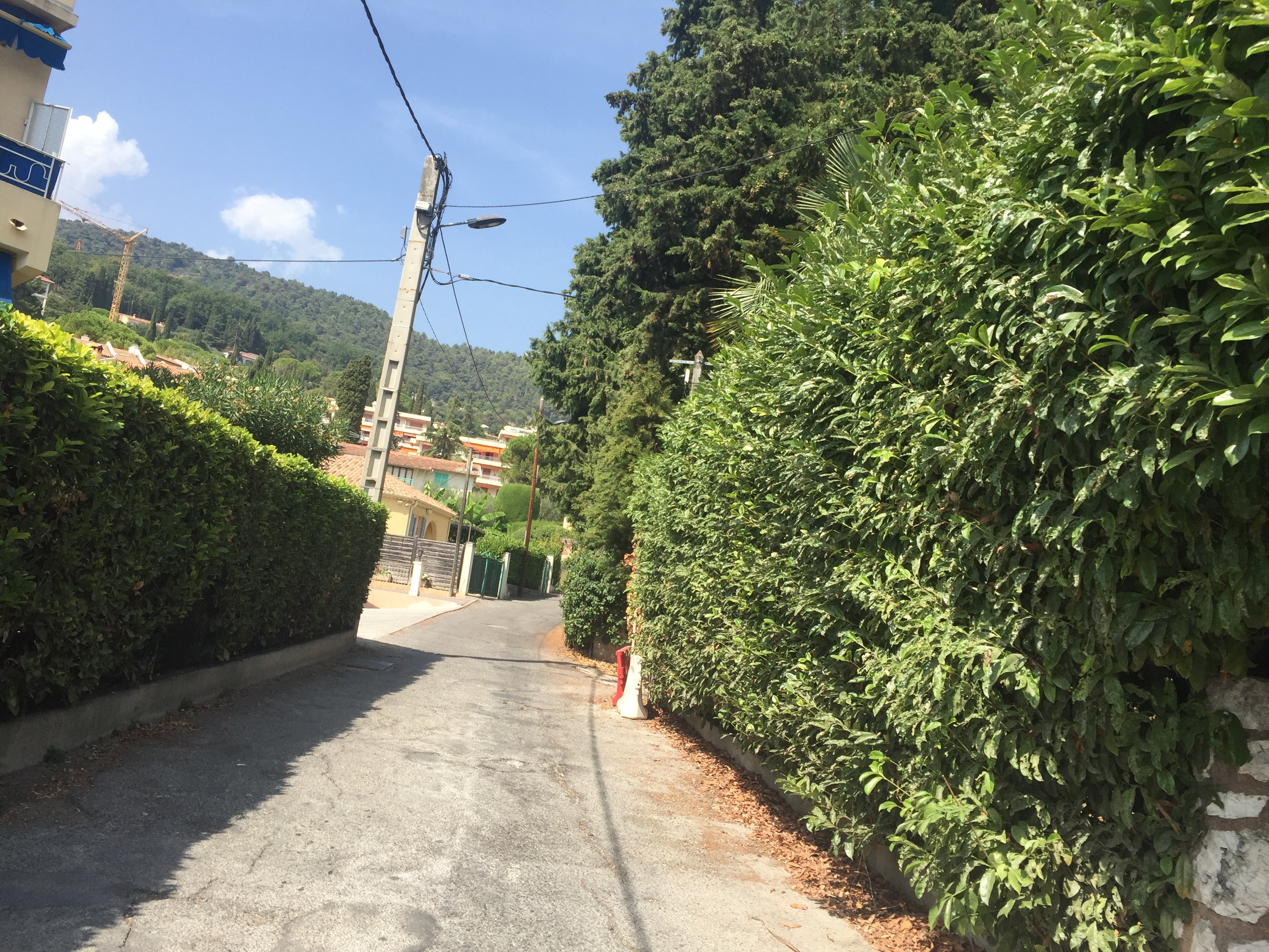รูปถ่าย ฝรั่งเศส(France) วังซ์(Vence) 2017-08 0