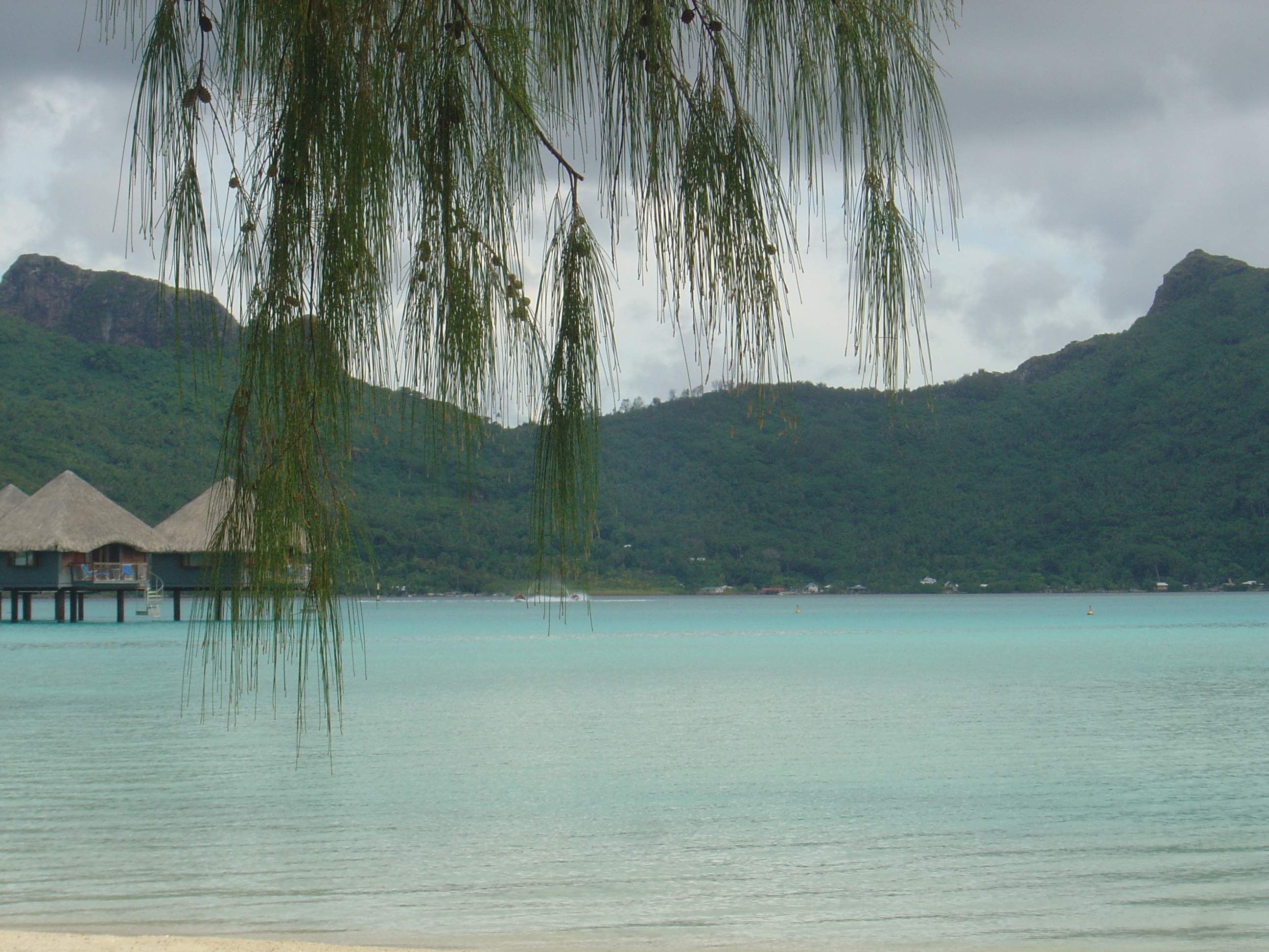 รูปถ่าย เฟรนช์โพลี่นีเซีย(Polynesia) โรงแรมเลอเมอริเดียน โบราโบรา(Meridien Bora Bora Hotel) 2006-04 130