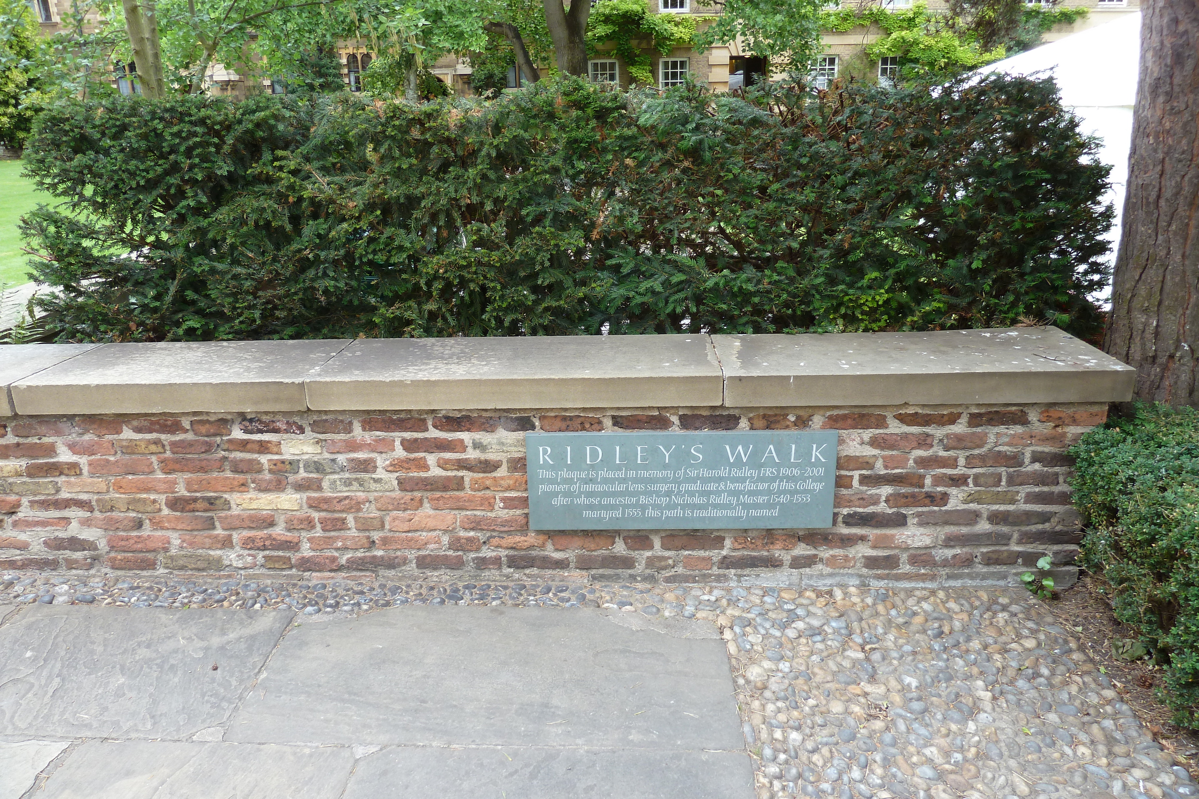 รูปถ่าย อังกฤษ(United Kingdom) เคมบริดจ์(Cambridge) 2011-07 60