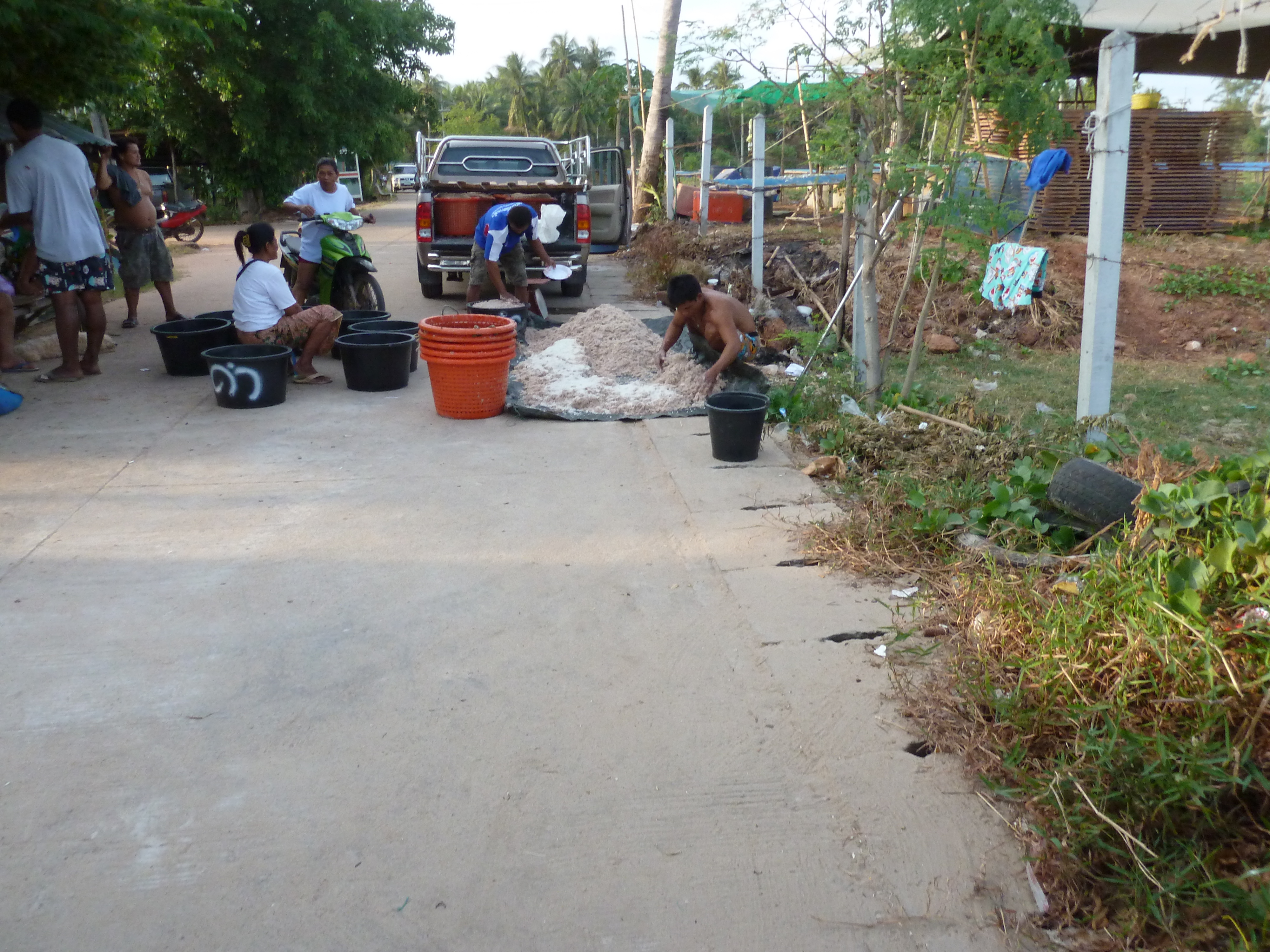 รูปถ่าย ไทย(Thailand) ระยอง(Rayong) 2011-12 56