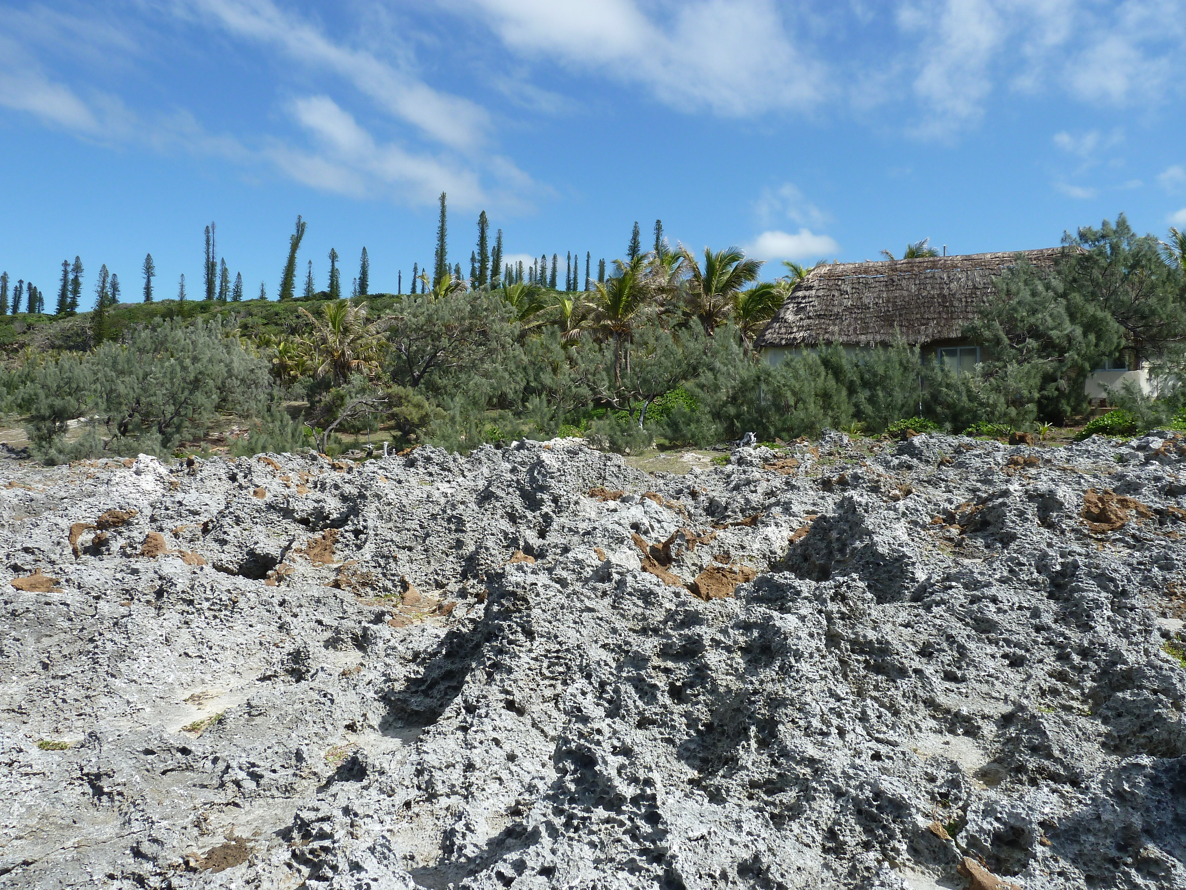 รูปถ่าย นิวแคลิโดเนีย(New Caledonia) 2010-05 24
