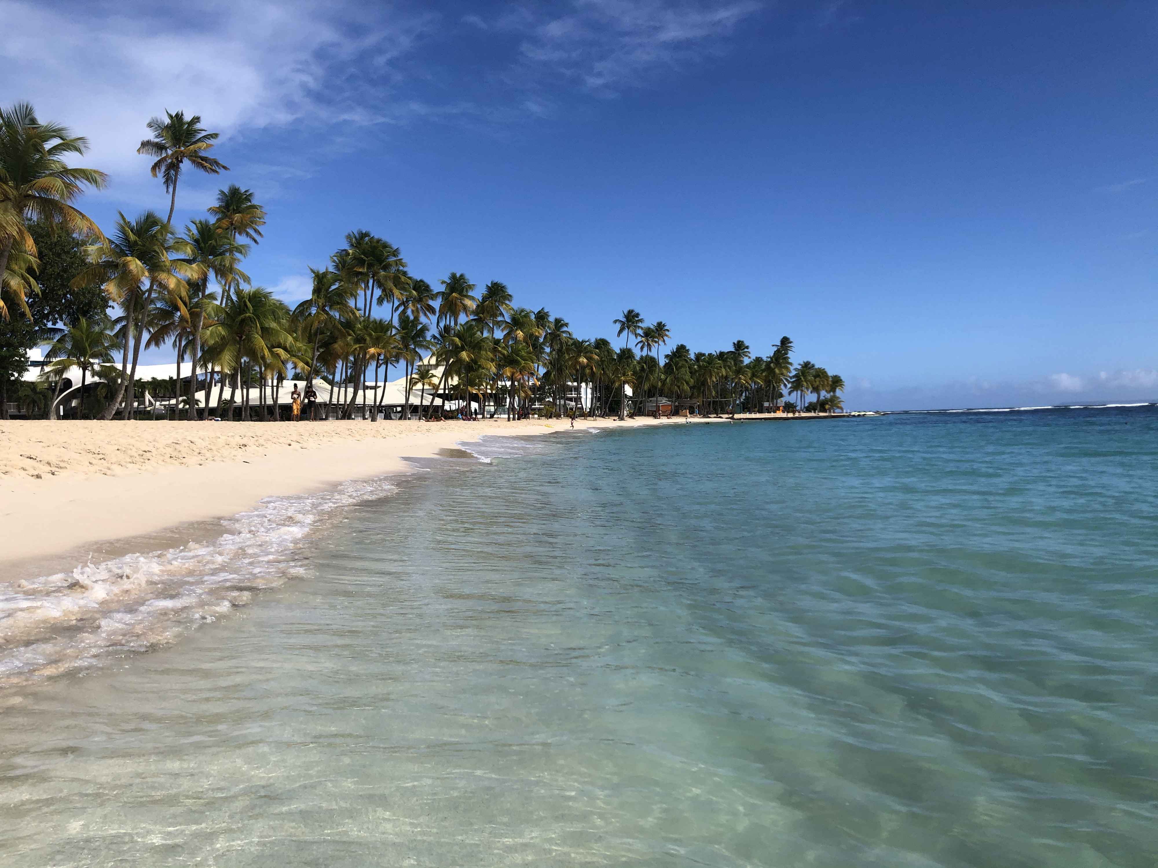 รูปถ่าย กวาเดอลูป(Guadeloupe) หาดลาการาแวล(La Caravelle Beach) 2021-02 2