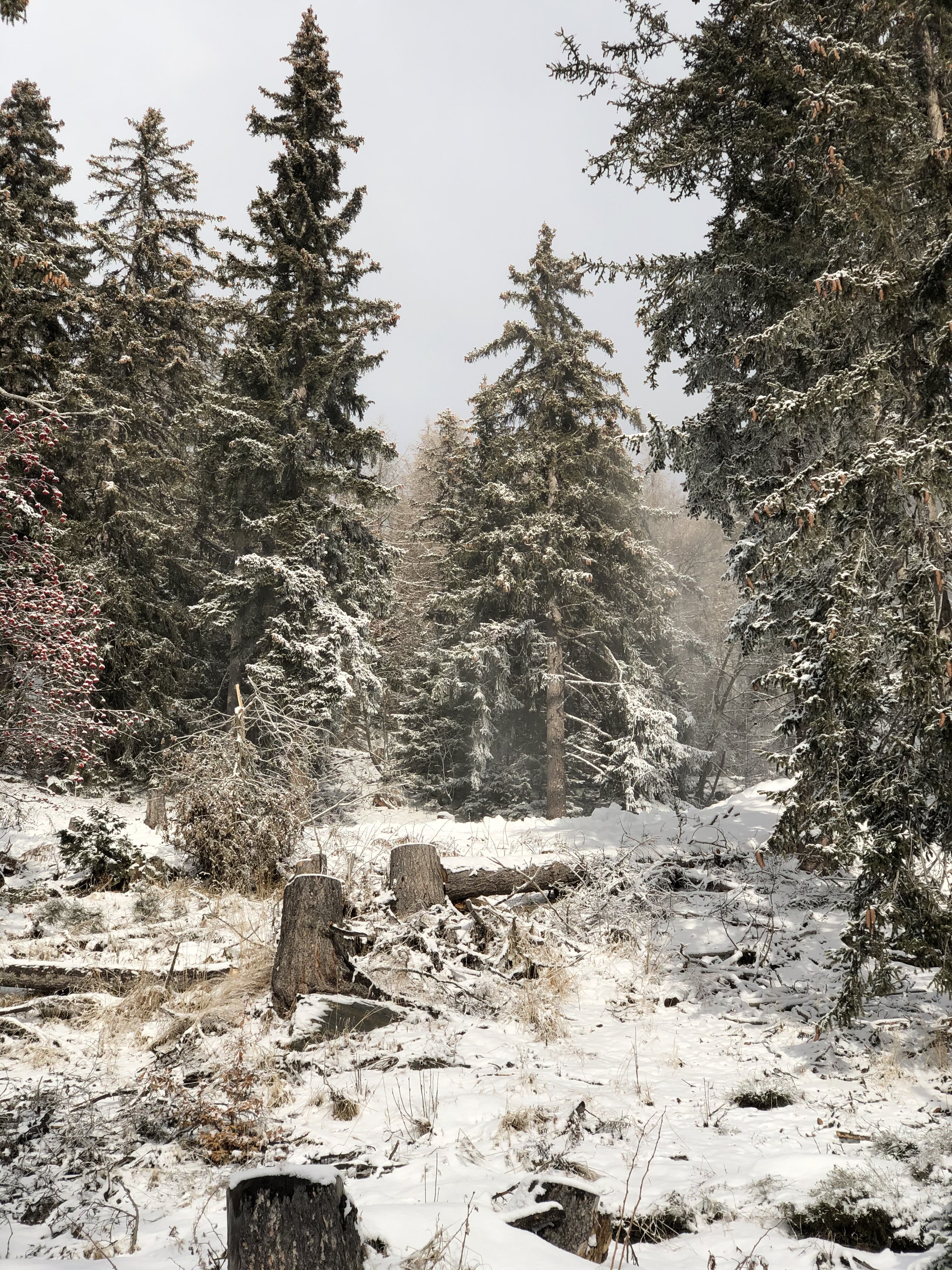 รูปถ่าย สวิสเซอร์แลนด์(Switzerland) ครองส์-มงตานา(Crans Montana) 2020-12 632