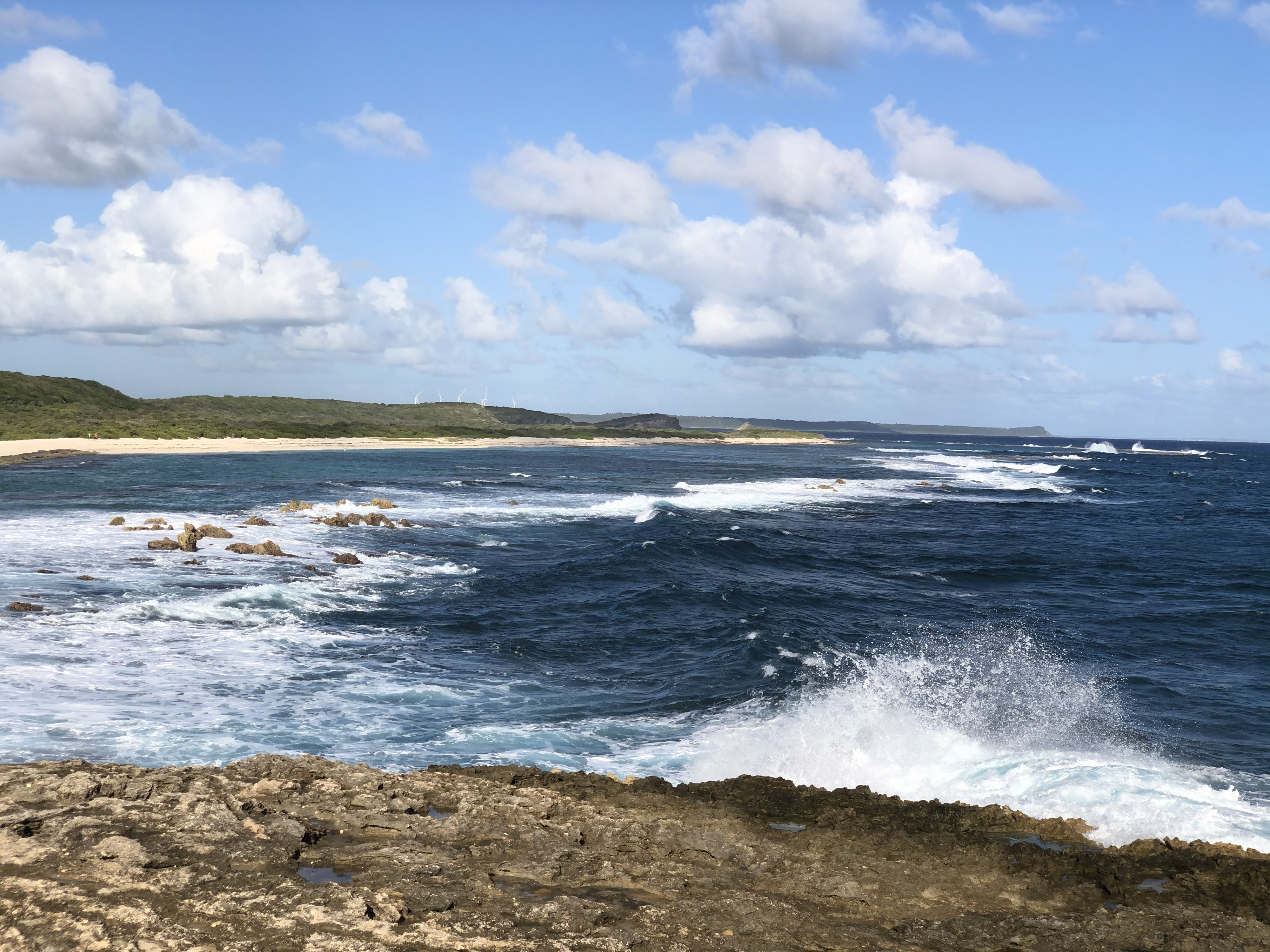 รูปถ่าย กวาเดอลูป(Guadeloupe) แหลมคาสเซิลพอยต์(Castle Point) 2021-02 293