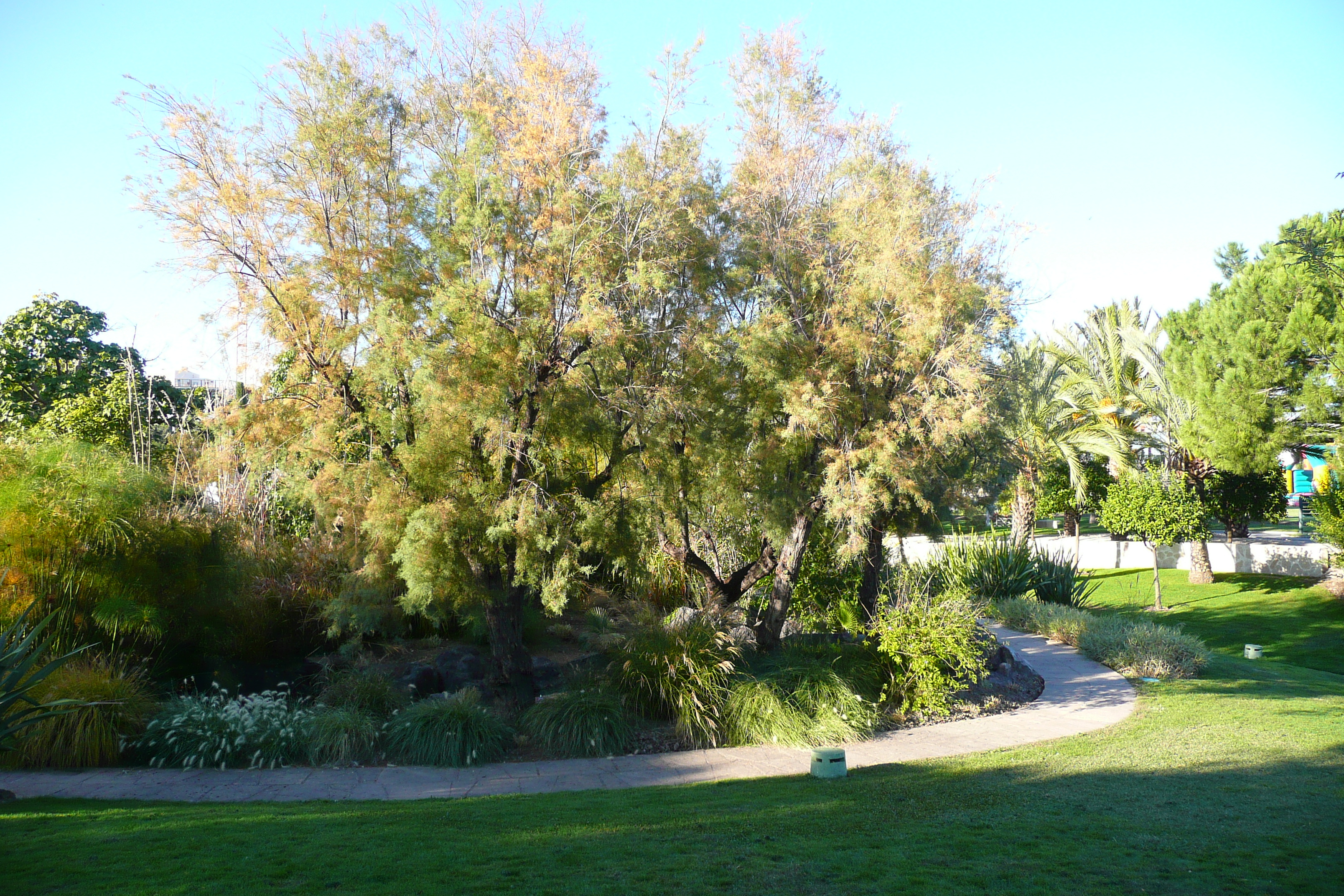 รูปถ่าย ฝรั่งเศส(France) นีส(Nice) สวนฟีนิกซ์(Phoenix Parc) 2007-10 31