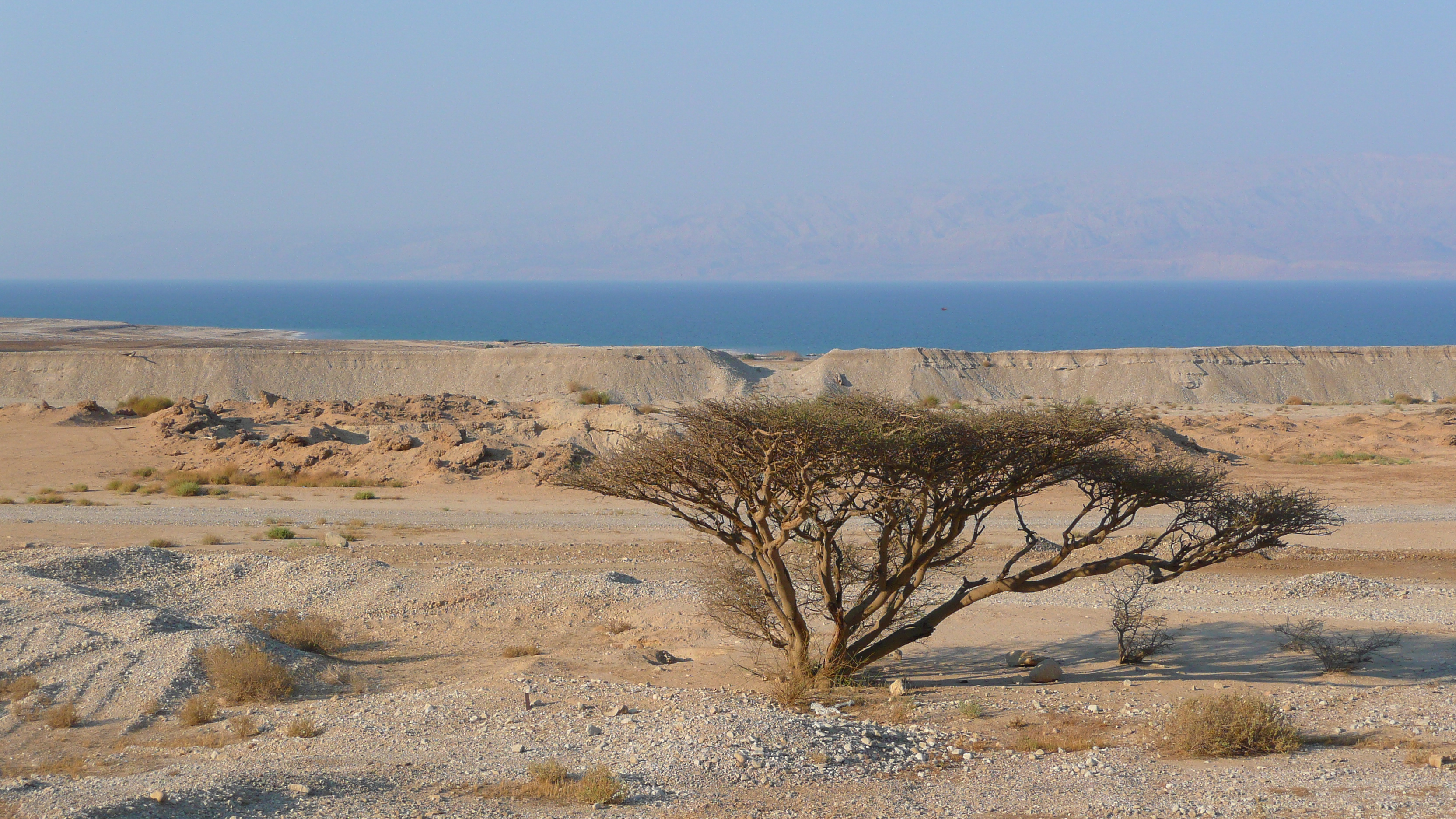 รูปถ่าย อิสราเอล(Israel) ทะเลดำ(Dead Sea) 2007-06 152