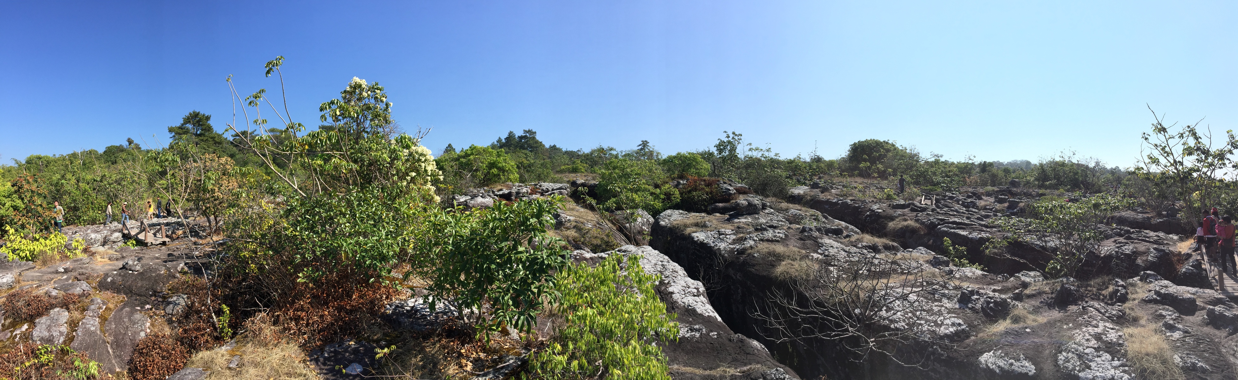 รูปถ่าย ไทย(Thailand) อุทยานแห่งชาติภูหินร่องกล้า(Phu Hin Rong Kla National Park) 2014-12 371