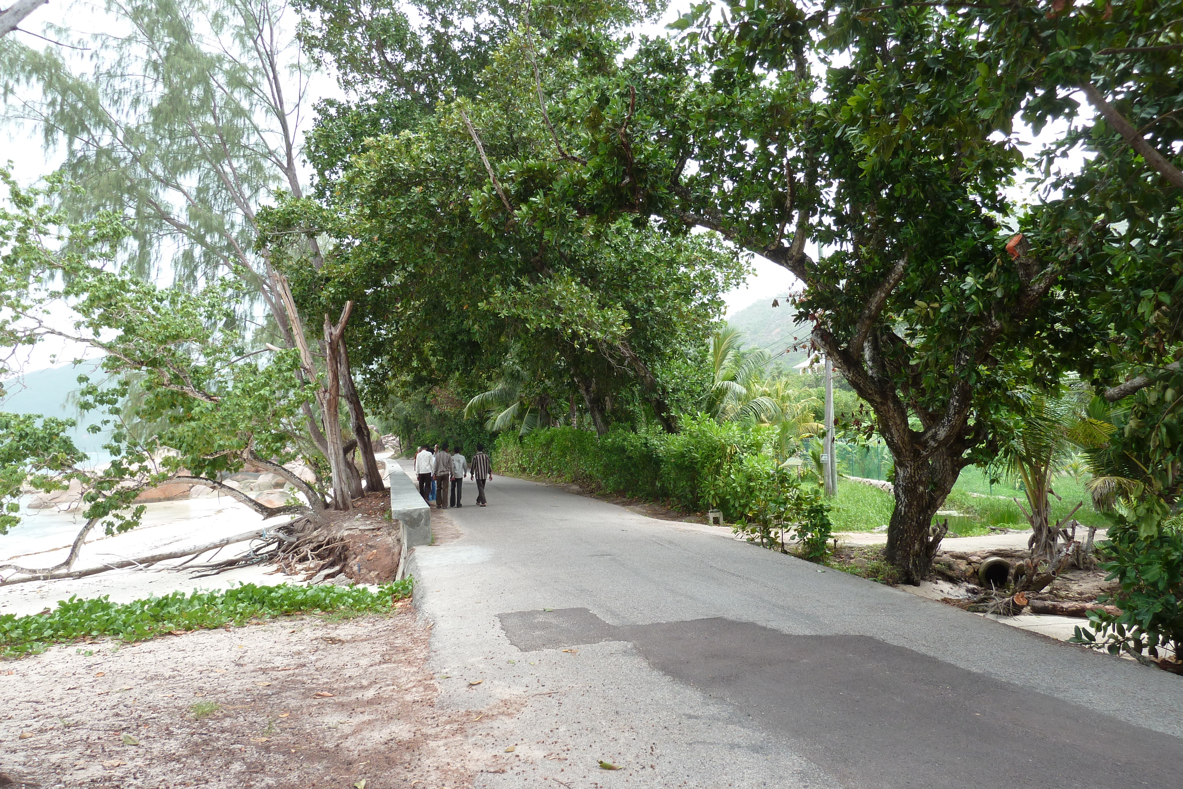 รูปถ่าย เซเชลส์(Seychelles) อ่าวอ็องส์ปอสเซสซียง(Anse Possession) 2011-10 75
