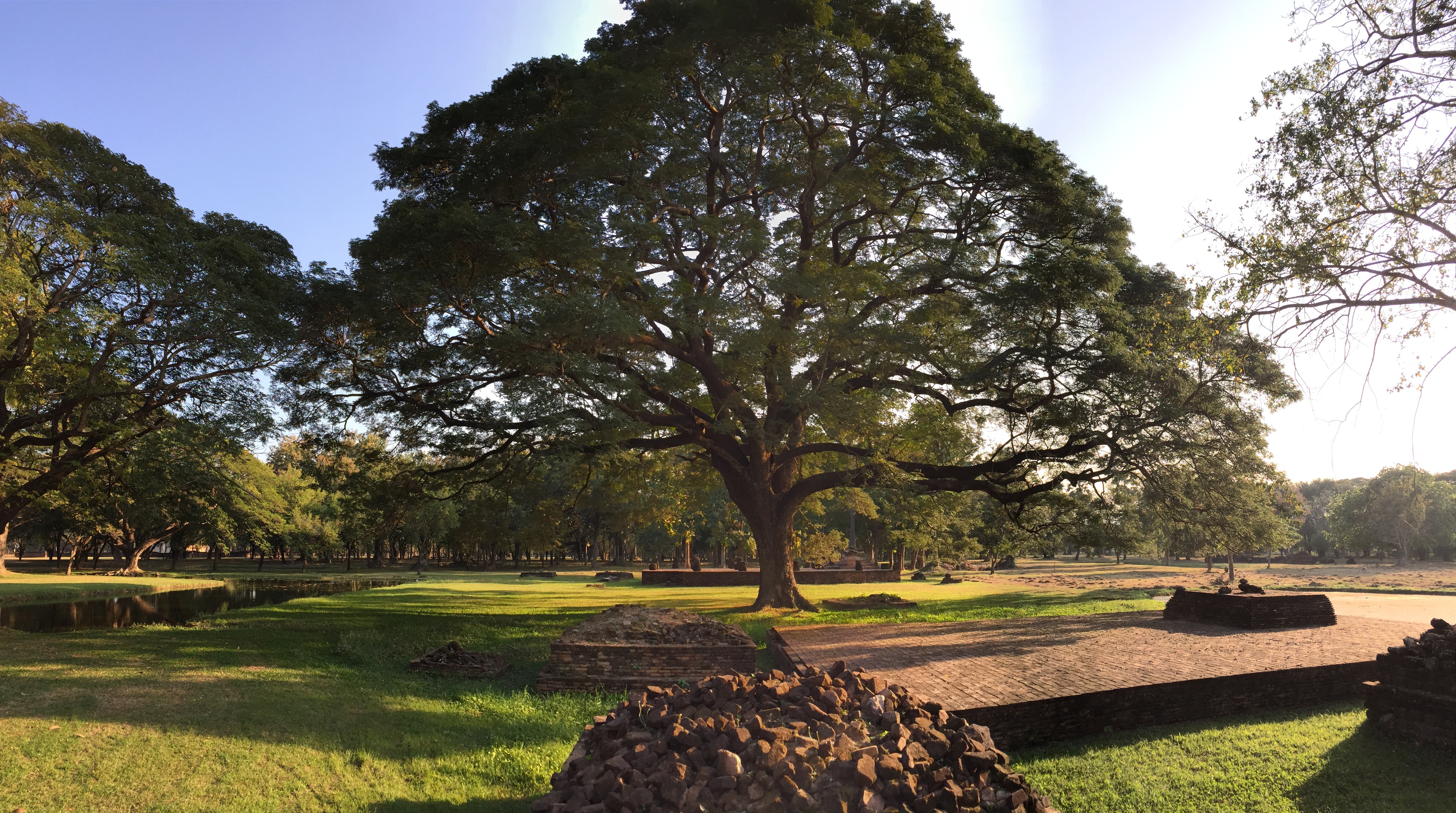รูปถ่าย ไทย(Thailand) สุโขทัย(Sukhothai) 2014-12 58