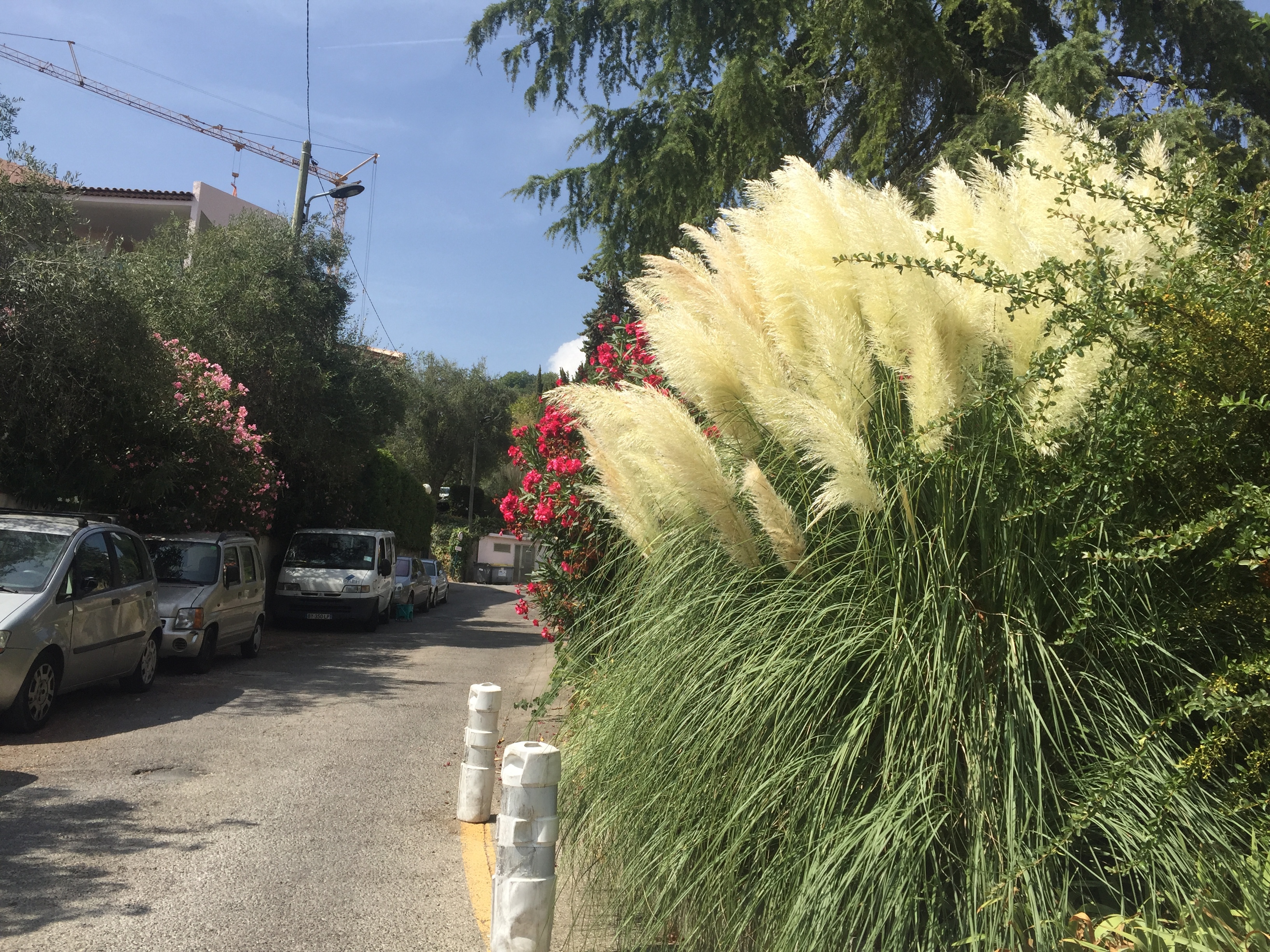 รูปถ่าย ฝรั่งเศส(France) วังซ์(Vence) 2017-08 4