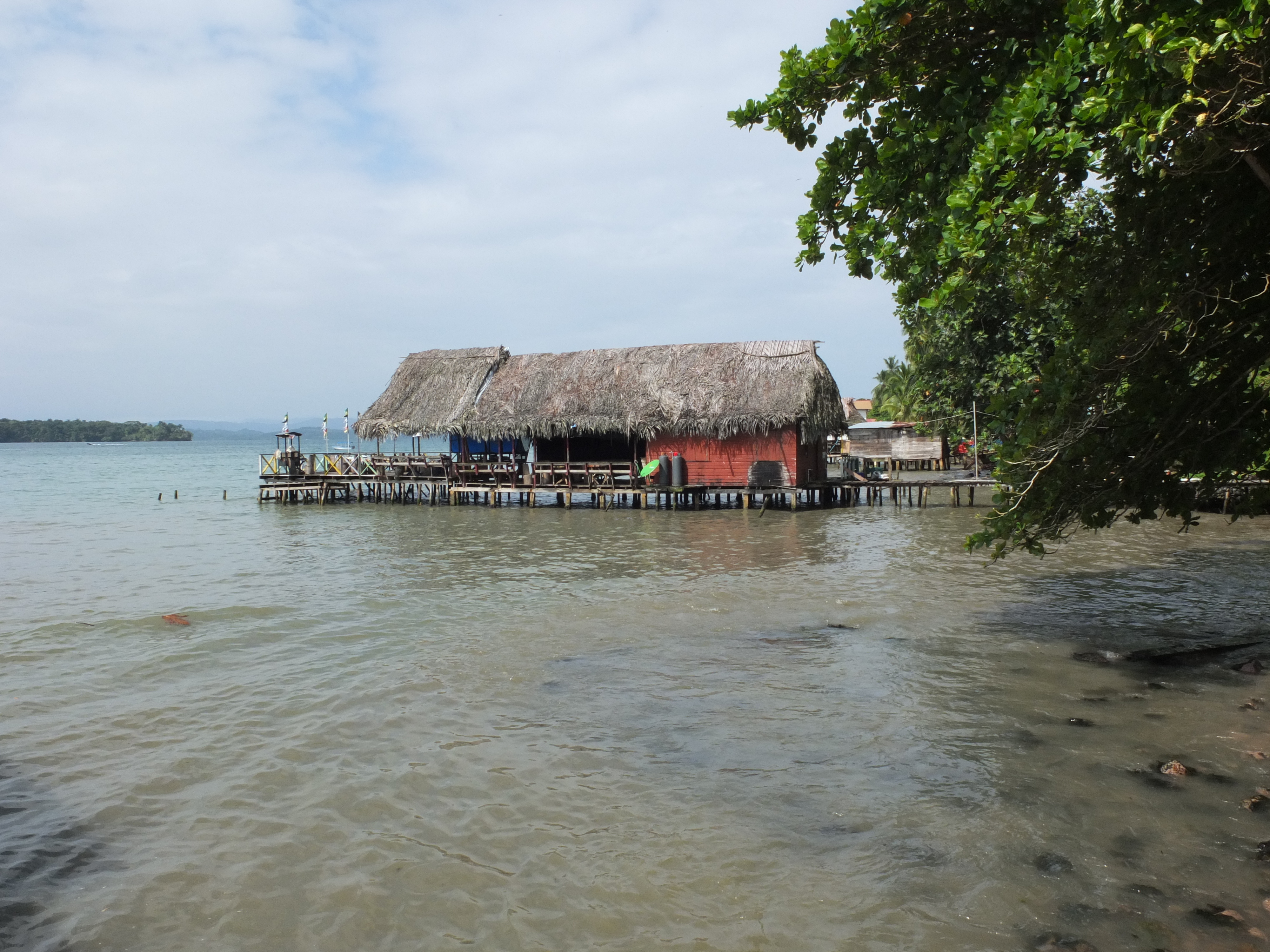 รูปถ่าย ปานามา(Panama) เกาะบาสติเมนโตส(Bastimentos) 2015-03 79