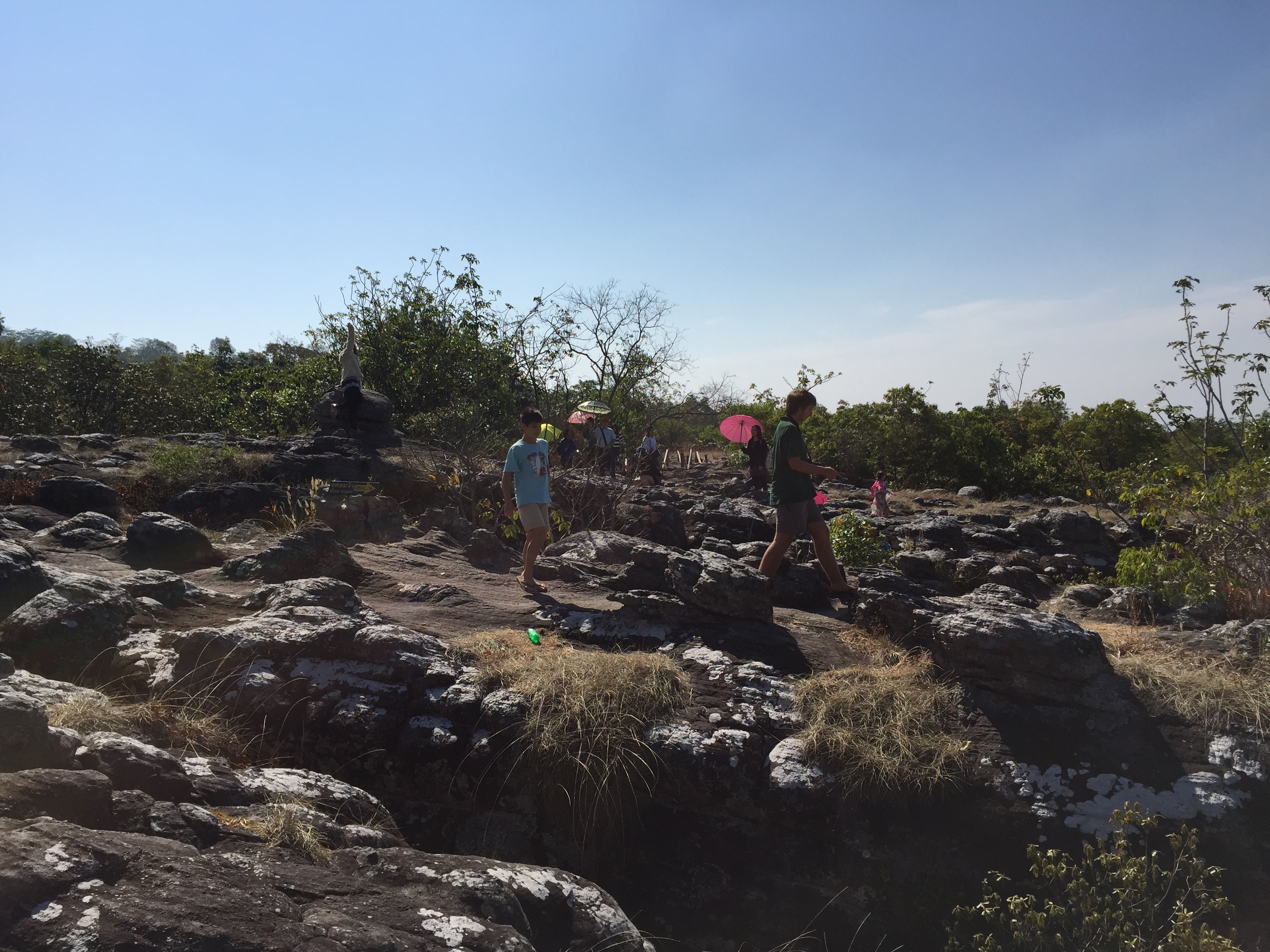 รูปถ่าย ไทย(Thailand) อุทยานแห่งชาติภูหินร่องกล้า(Phu Hin Rong Kla National Park) 2014-12 57