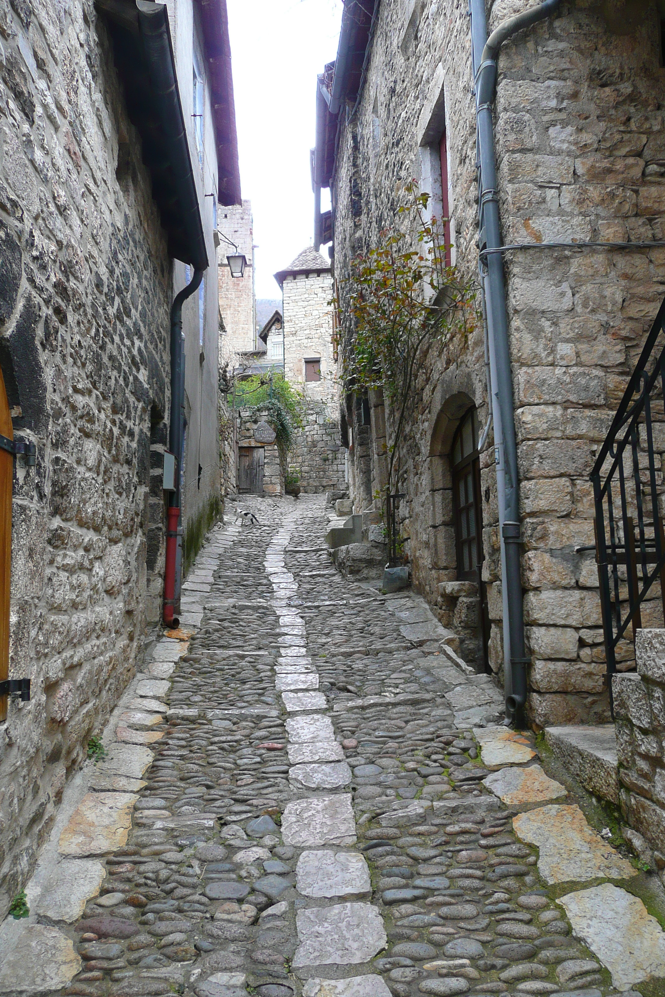 รูปถ่าย ฝรั่งเศส(France) แซ็งเตนีมี(Sainte Enimie) 2008-04 30