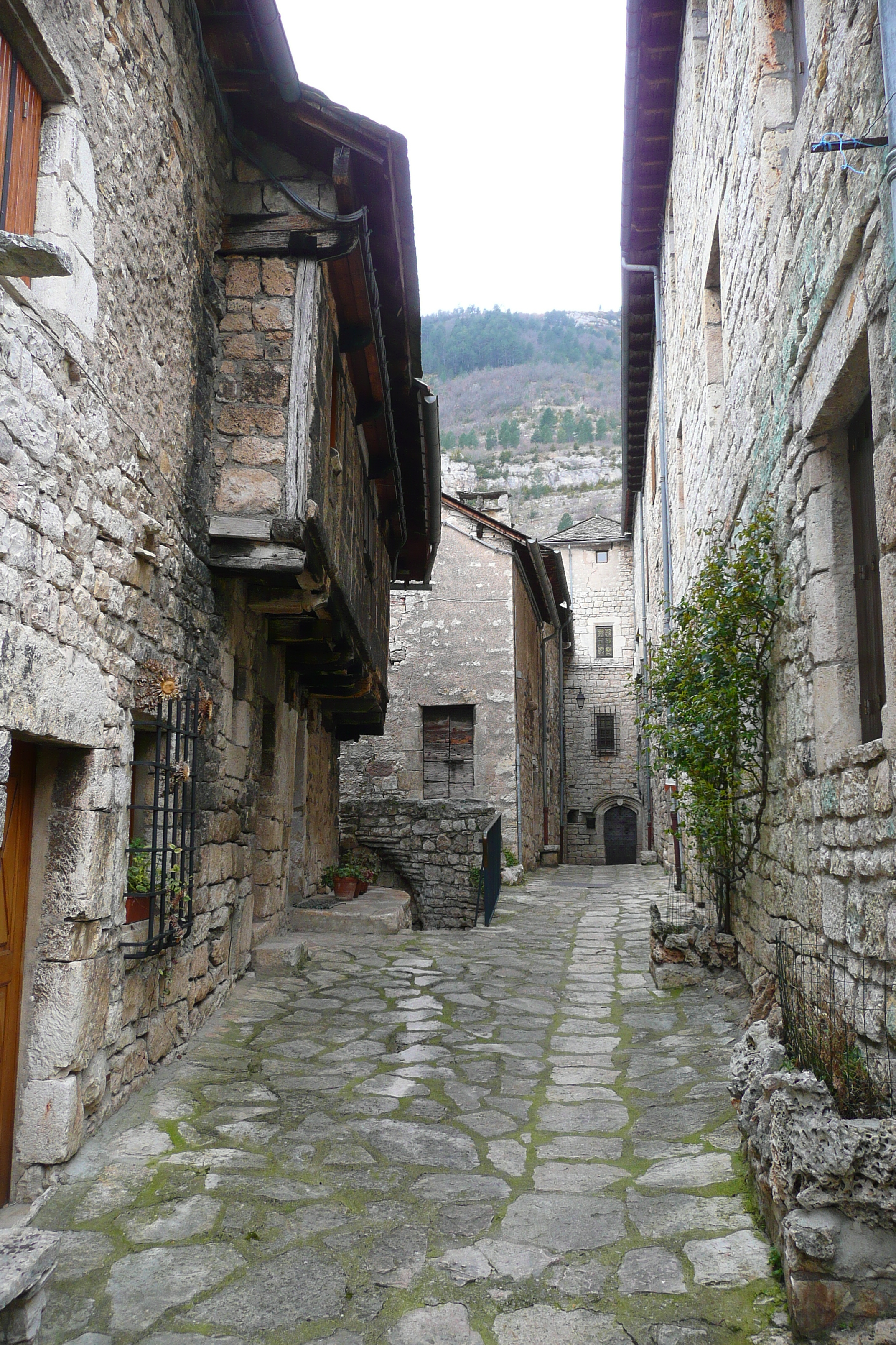 รูปถ่าย ฝรั่งเศส(France) แซ็งเตนีมี(Sainte Enimie) 2008-04 37