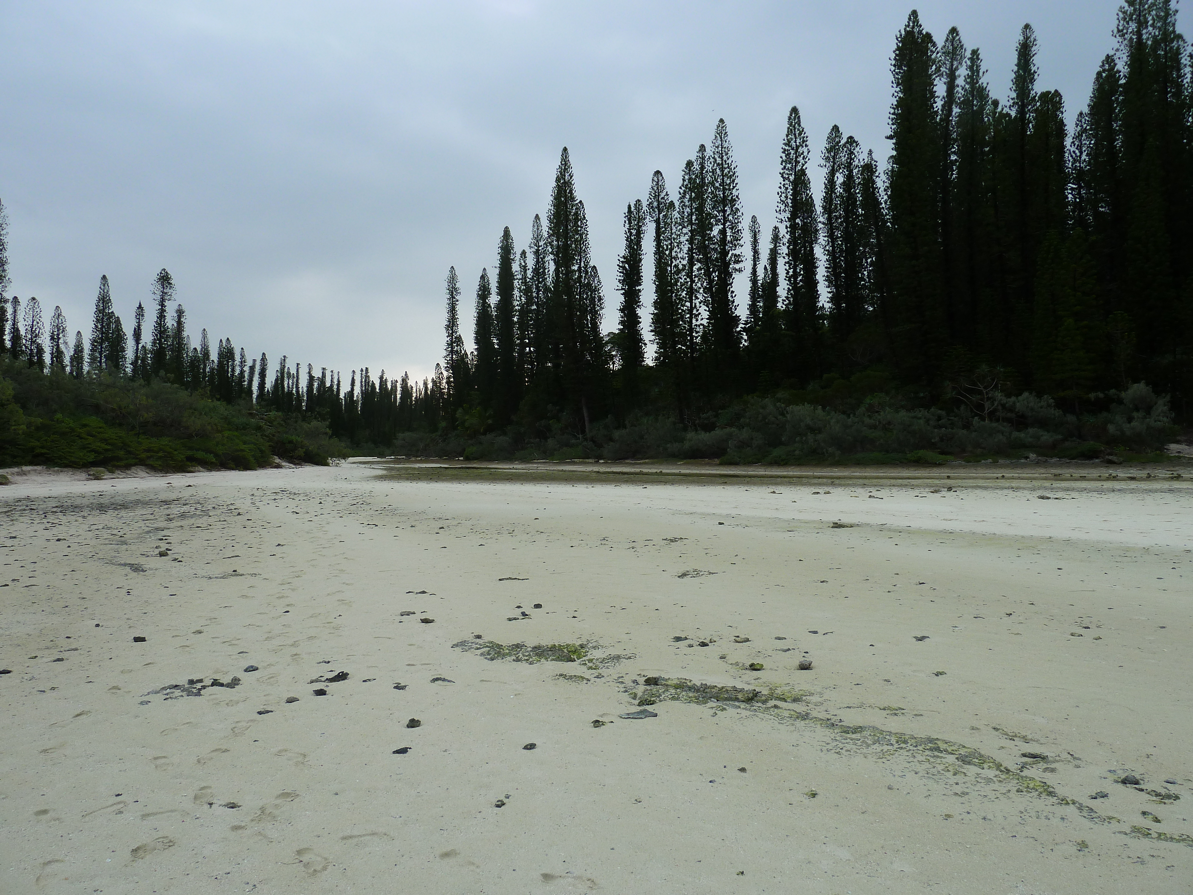 รูปถ่าย นิวแคลิโดเนีย(New Caledonia) เกาะต้นสน(Ile des pins) อ่าวโอโร(Oro Bay) 2010-05 98