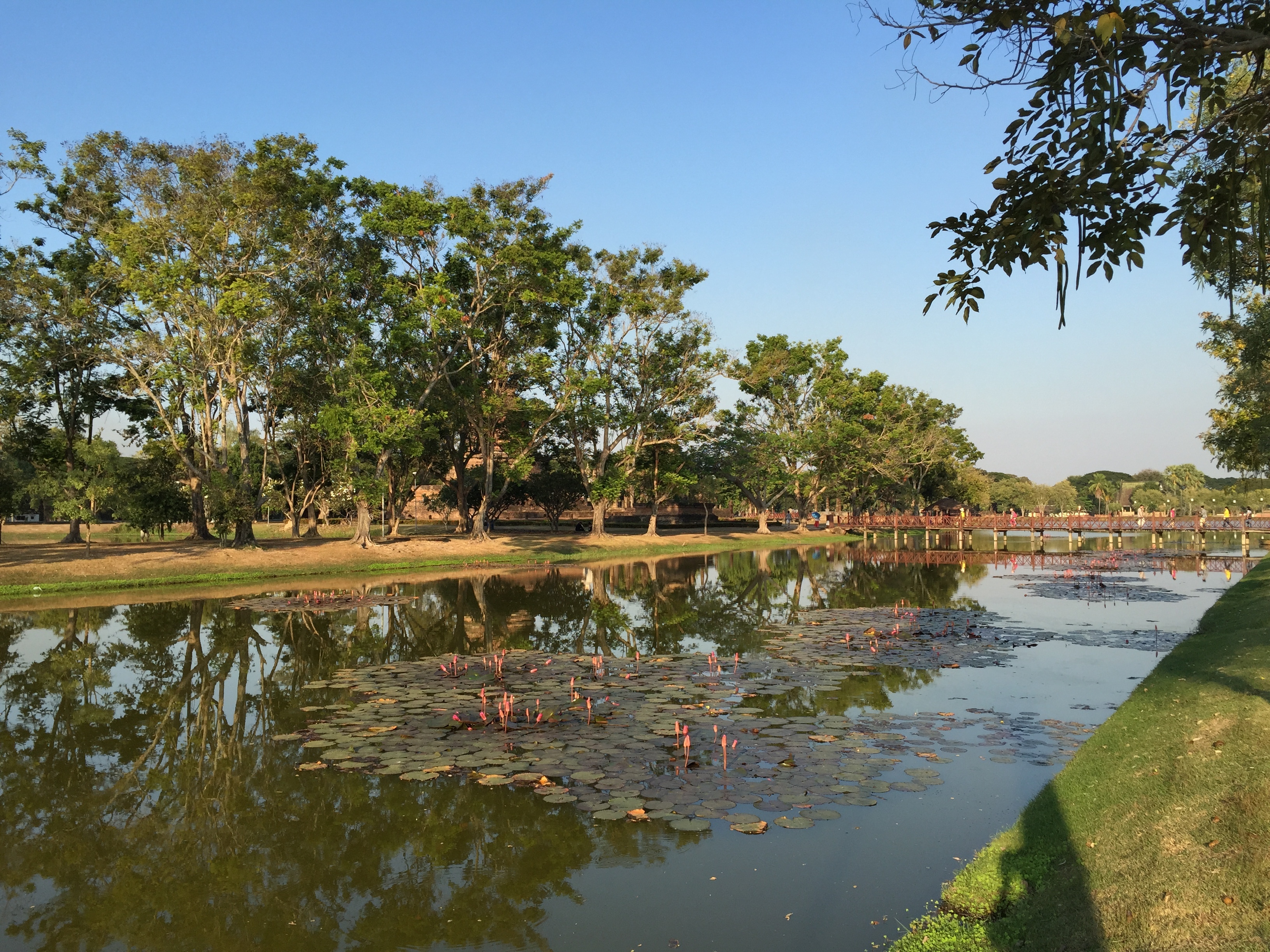 รูปถ่าย ไทย(Thailand) สุโขทัย(Sukhothai) 2014-12 15