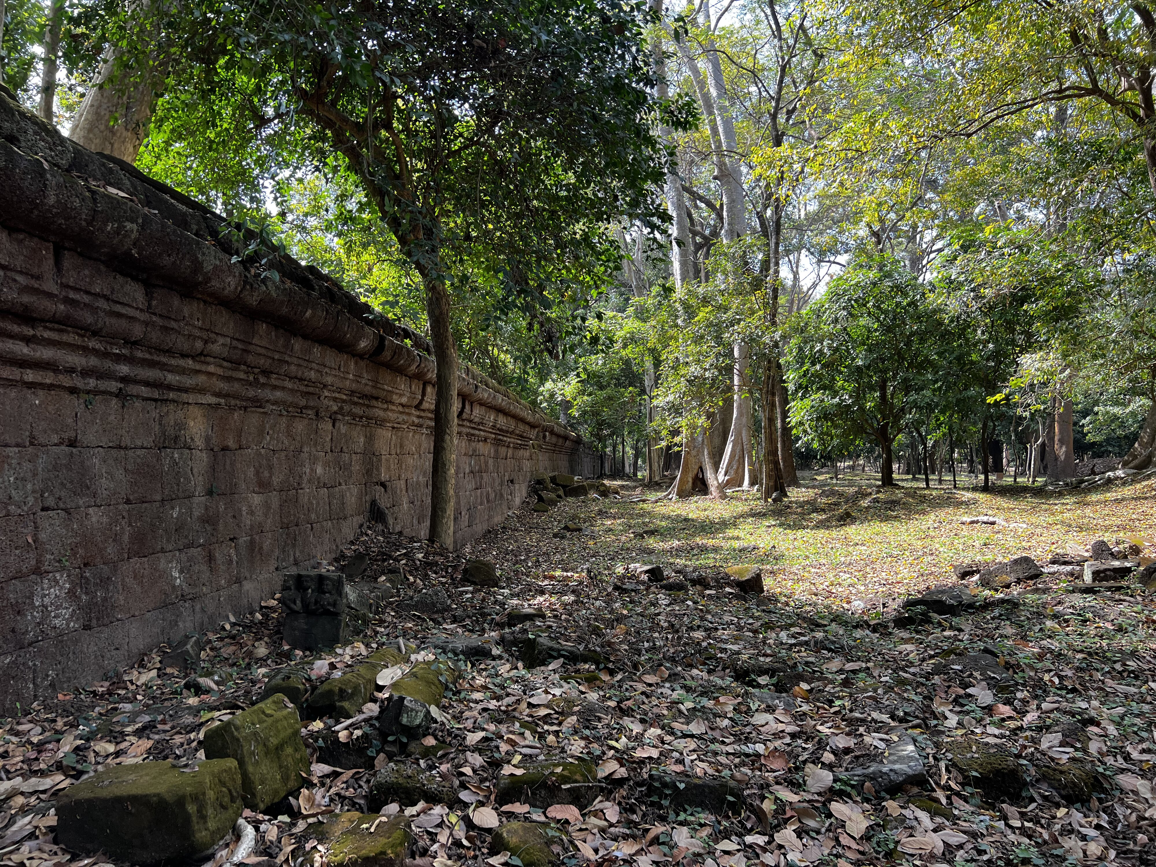 รูปถ่าย กัมพูชา(Cambodia) เสียมราฐ(Siem Reap) นครธม(Angkor Thom) 2023-01 23