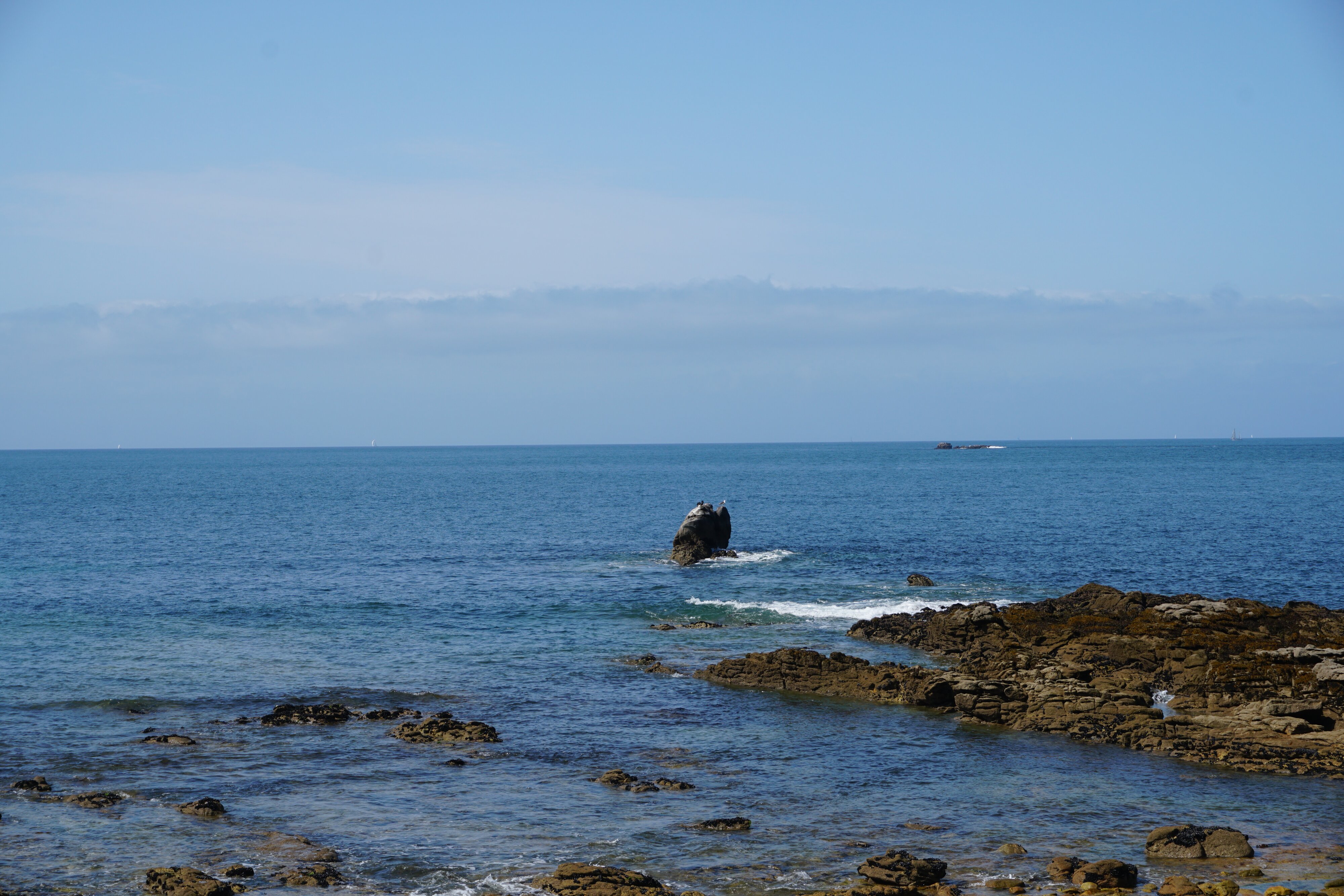 รูปถ่าย ฝรั่งเศส(France) เกาะเอดิก(Hoedic) 2016-08 107