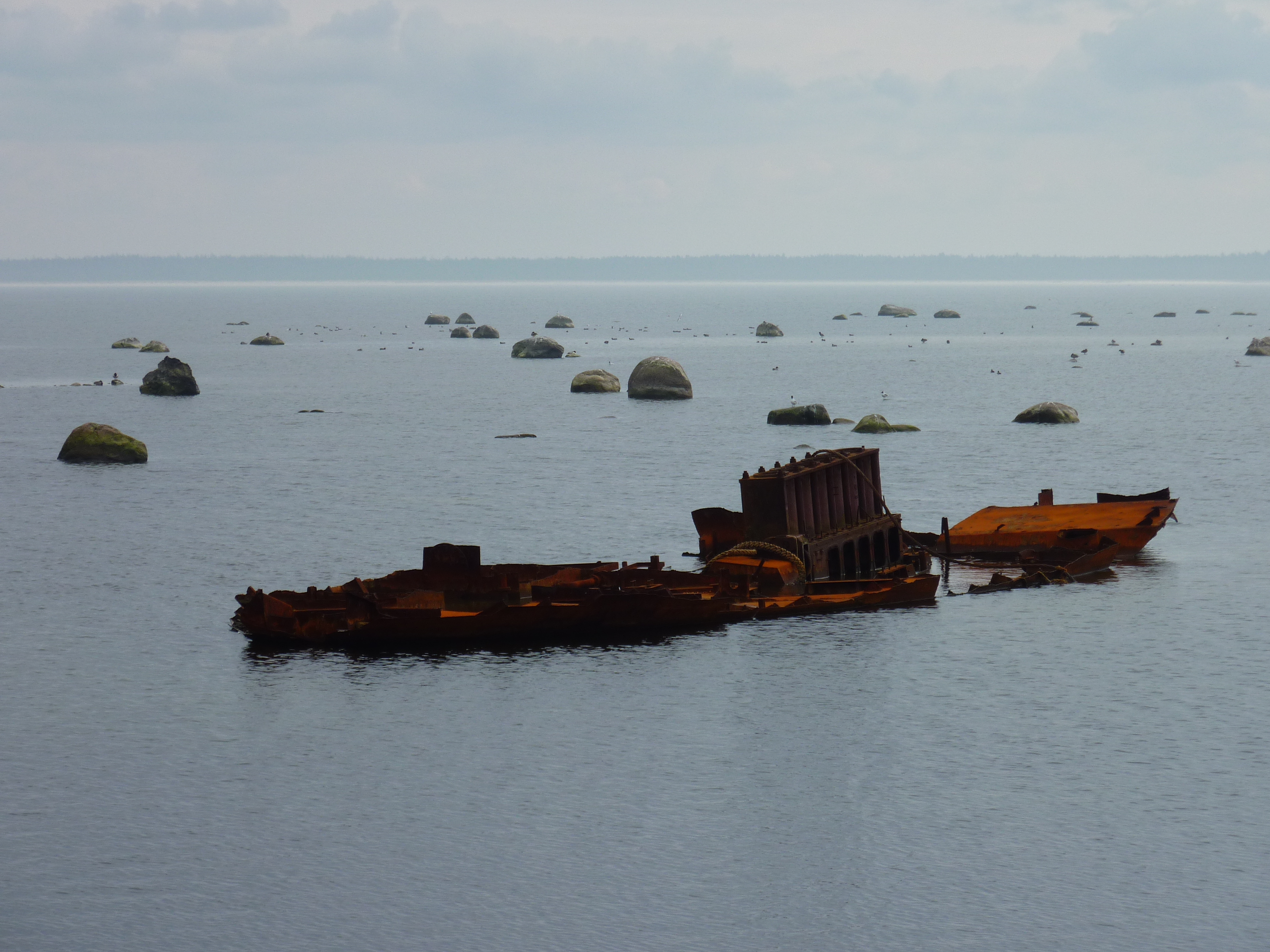 รูปถ่าย เอสโตเนีย(Estonia) ถนนจากทาลลินน์ไปฮาปซาลู(Tallinn to Haapsalu road) 2009-04 14