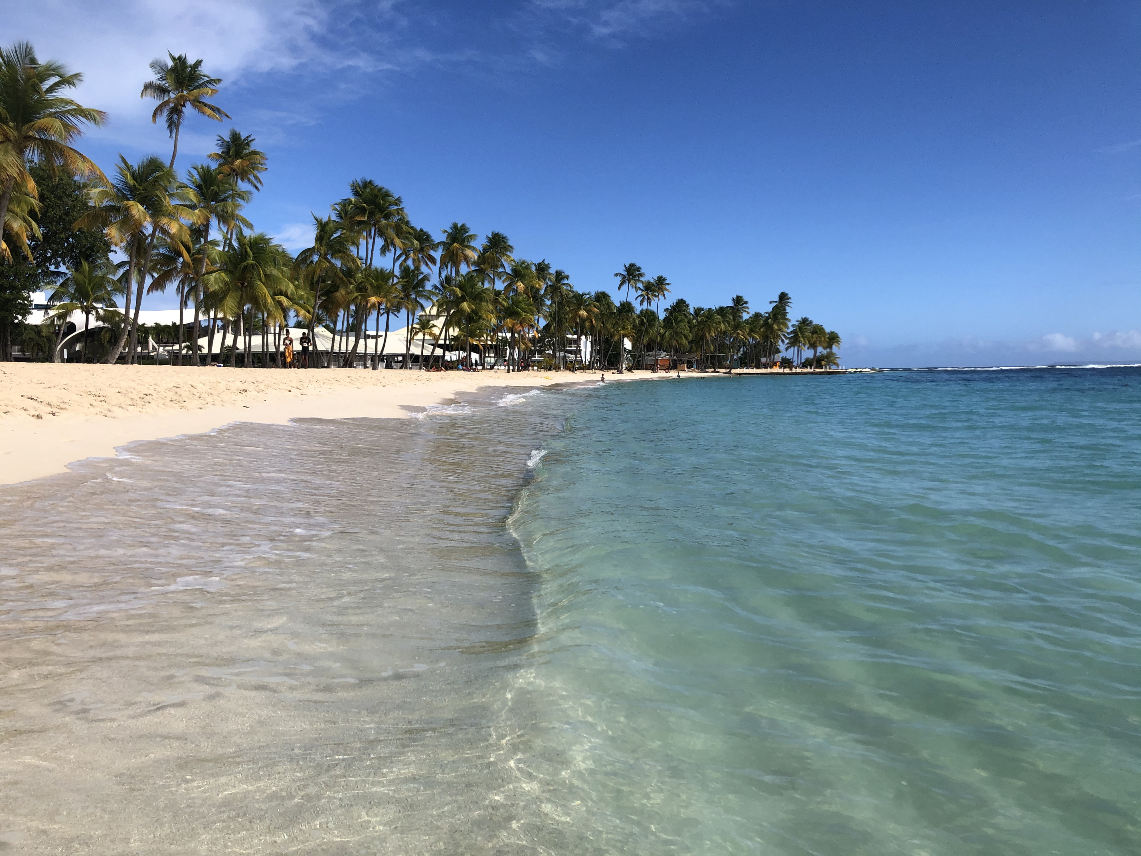 รูปถ่าย กวาเดอลูป(Guadeloupe) หาดลาการาแวล(La Caravelle Beach) 2021-02 147