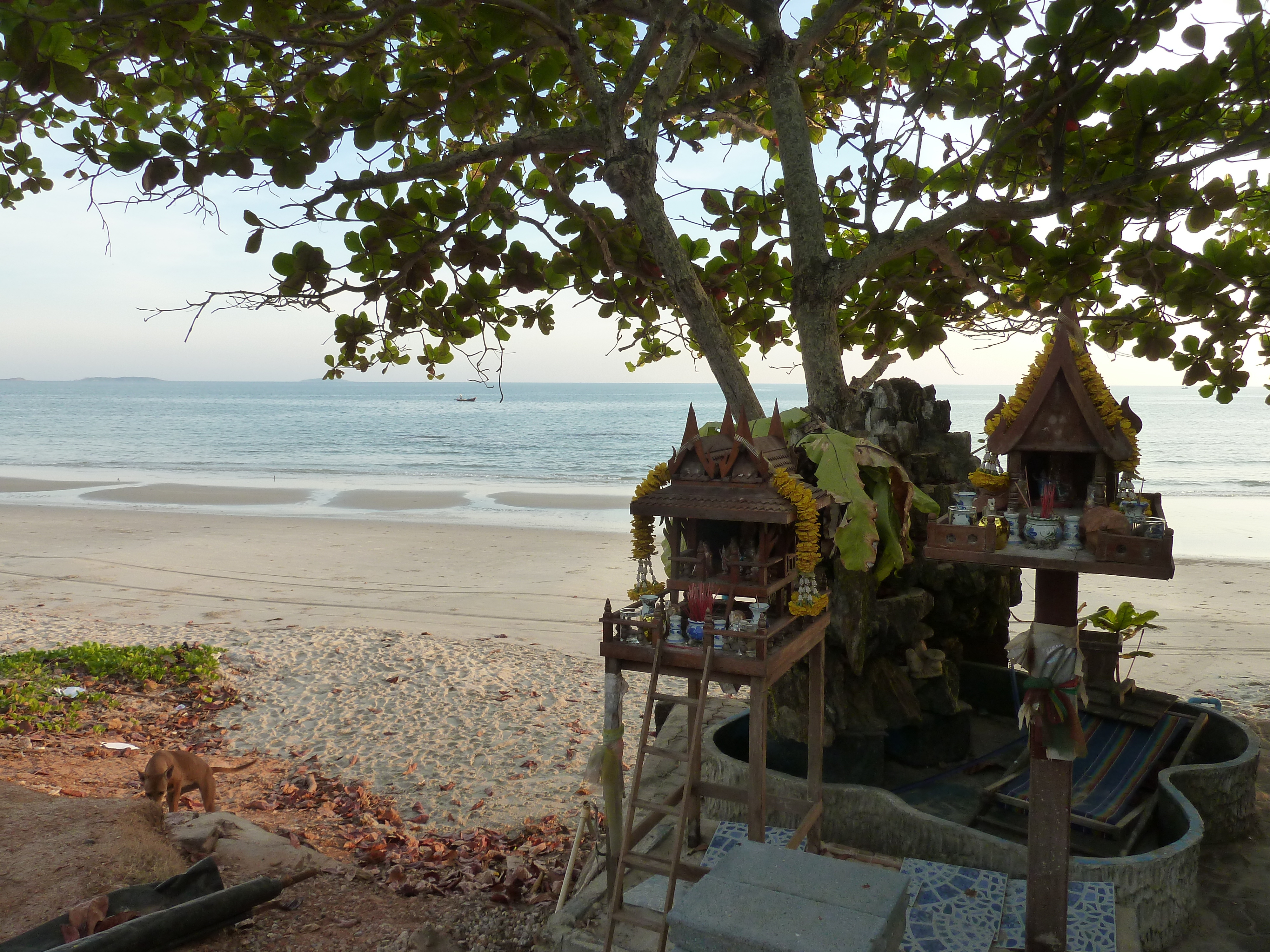รูปถ่าย ไทย(Thailand) ระยอง(Rayong) 2011-12 34