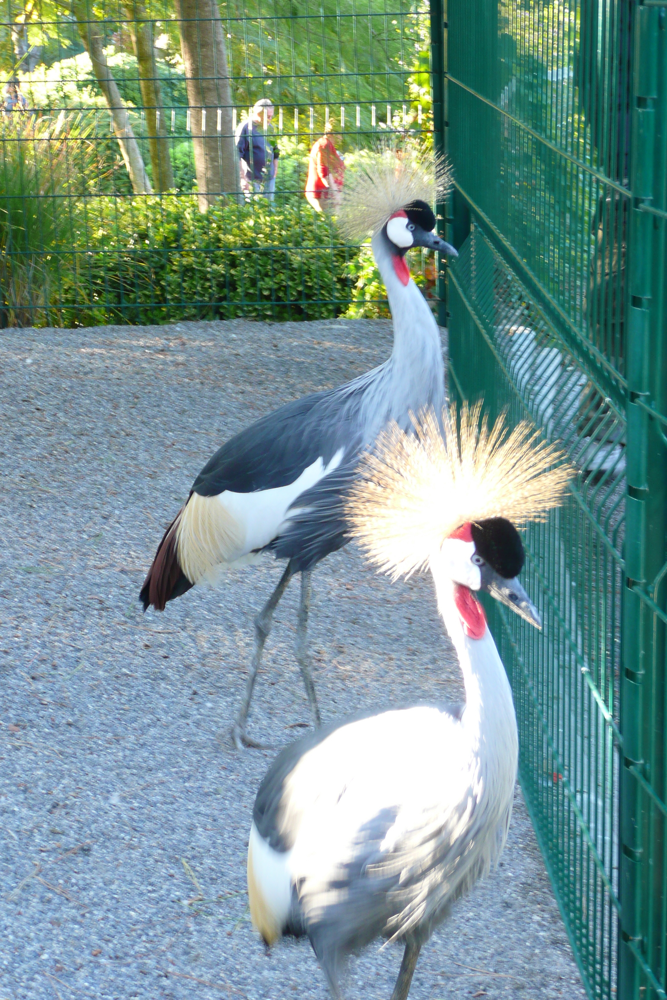 รูปถ่าย ฝรั่งเศส(France) นีส(Nice) สวนฟีนิกซ์(Phoenix Parc) 2007-10 21
