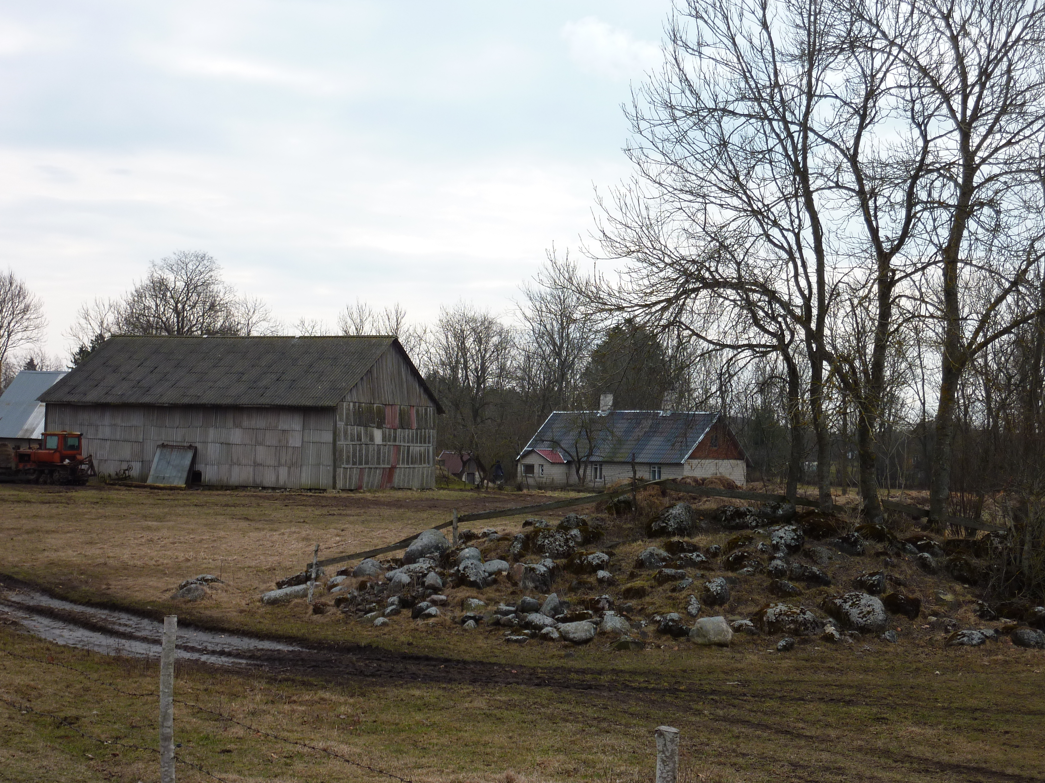 รูปถ่าย เอสโตเนีย(Estonia) ถนนจากทาลลินน์ไปฮาปซาลู(Tallinn to Haapsalu road) 2009-04 34