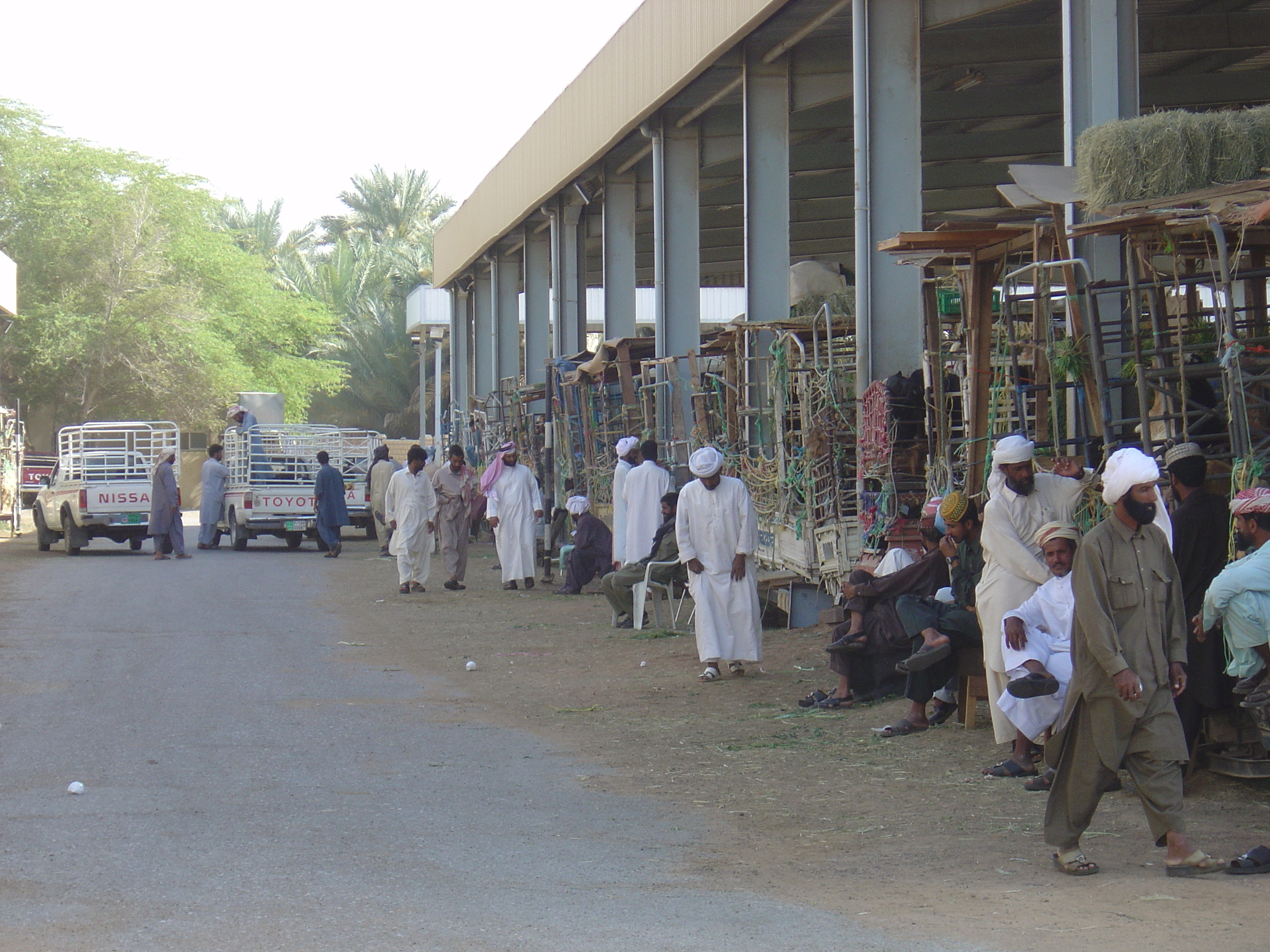 รูปถ่าย สหรัฐอาหรับเอมิเรตส์(United Arab Emirates) อาเลอิน(Al Ain) 2005-03 67