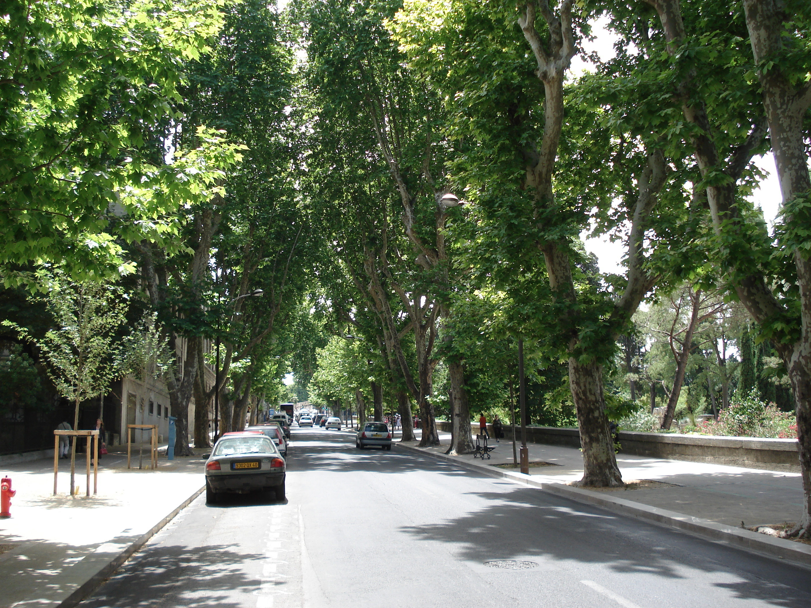 รูปถ่าย ฝรั่งเศส(France) มงเปลลีเยร์(Montpellier) 2006-06 74