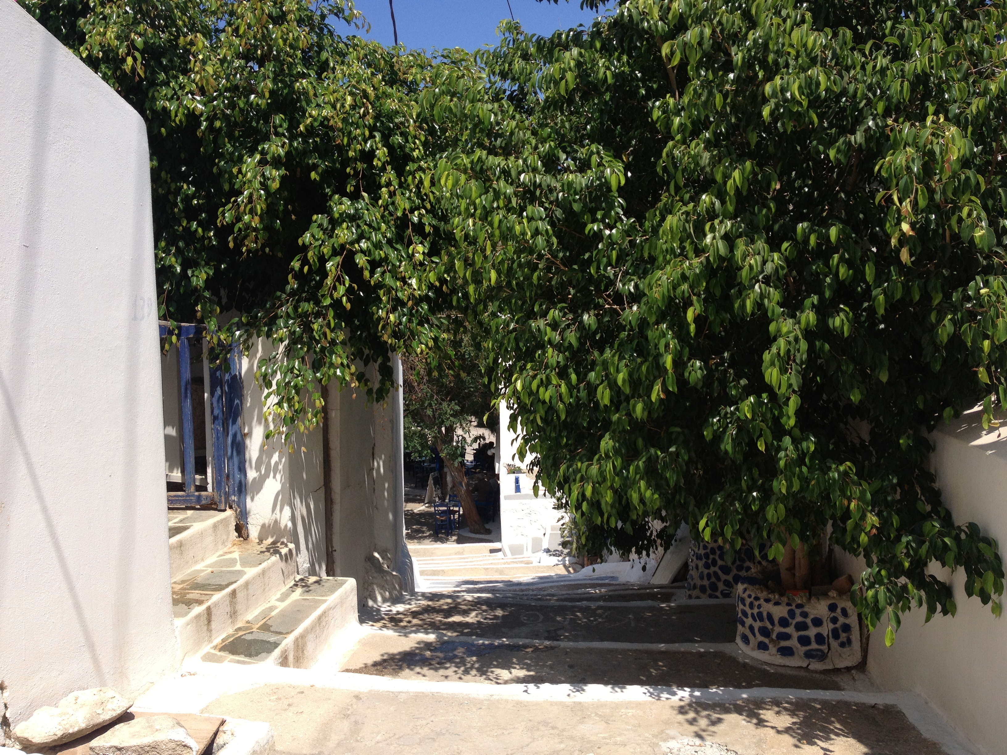 รูปถ่าย กรีก(Greece) เกาะอามอร์กอส(Amorgos) 2014-07 361