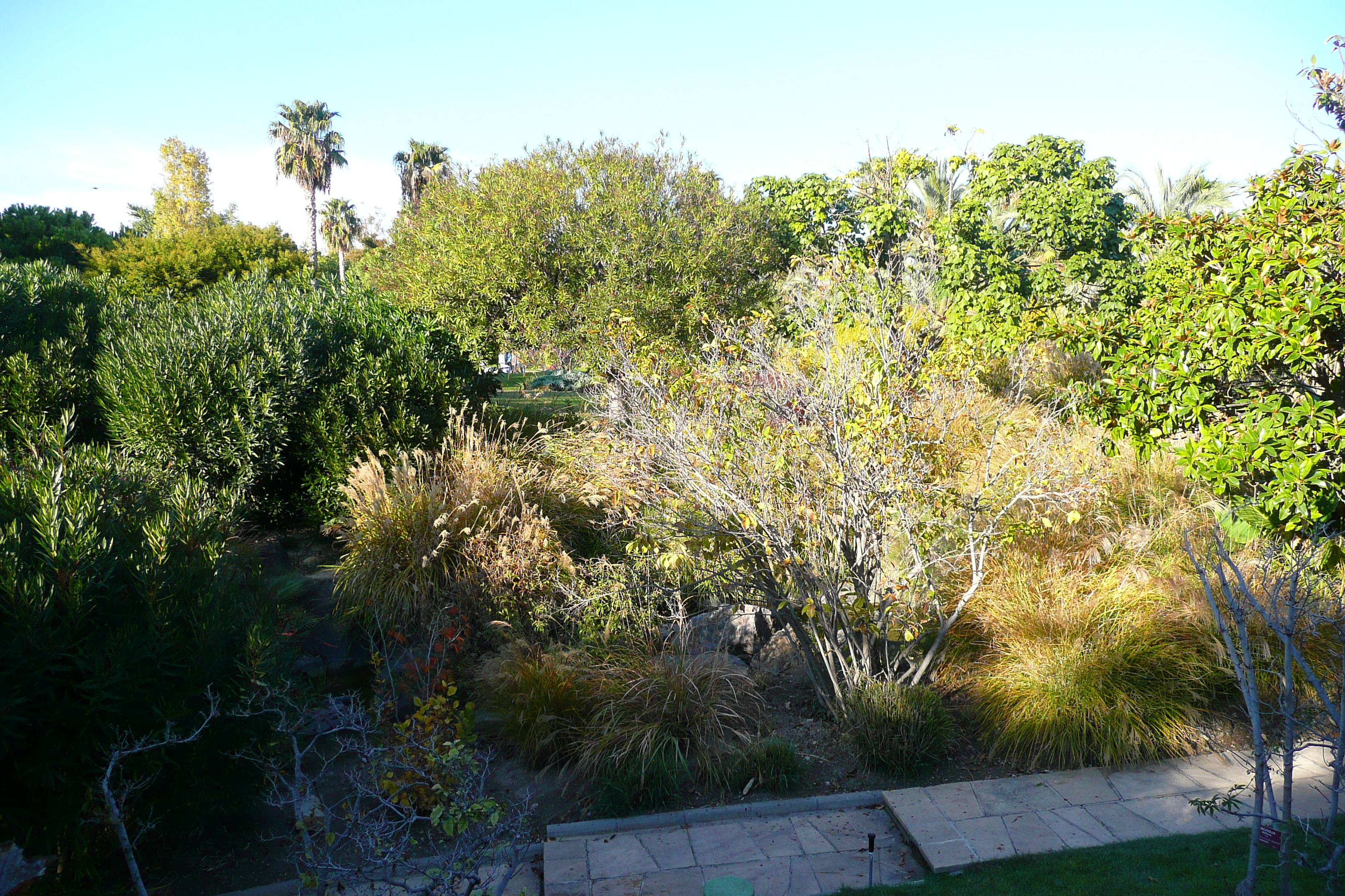 รูปถ่าย ฝรั่งเศส(France) นีส(Nice) สวนฟีนิกซ์(Phoenix Parc) 2007-10 12