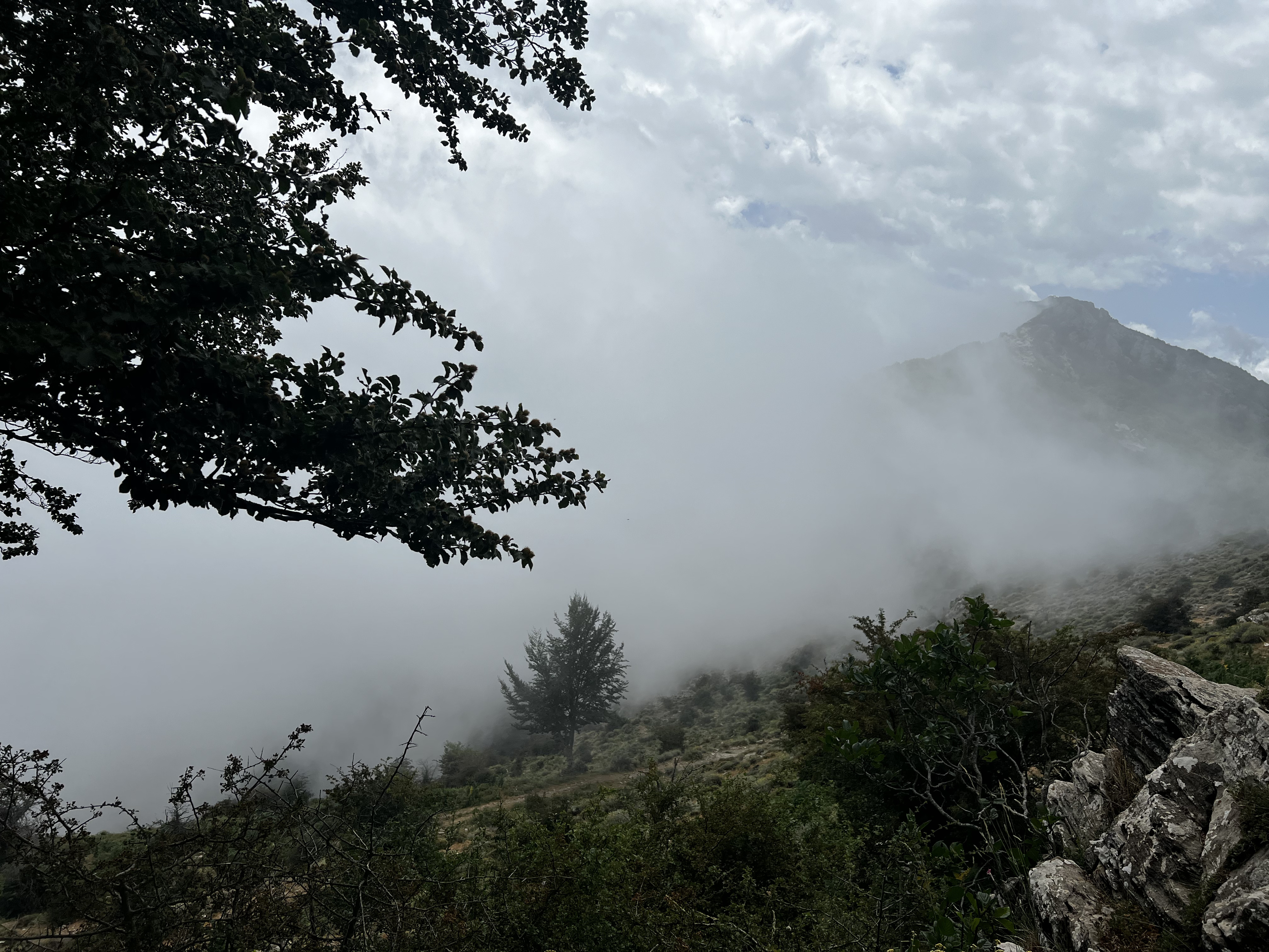 รูปถ่าย ฝรั่งเศส(France) คอร์สิคา(Corsica) ที่พักกัลเลรุชชู(Refuge de Callerucciu) 2022-06 50