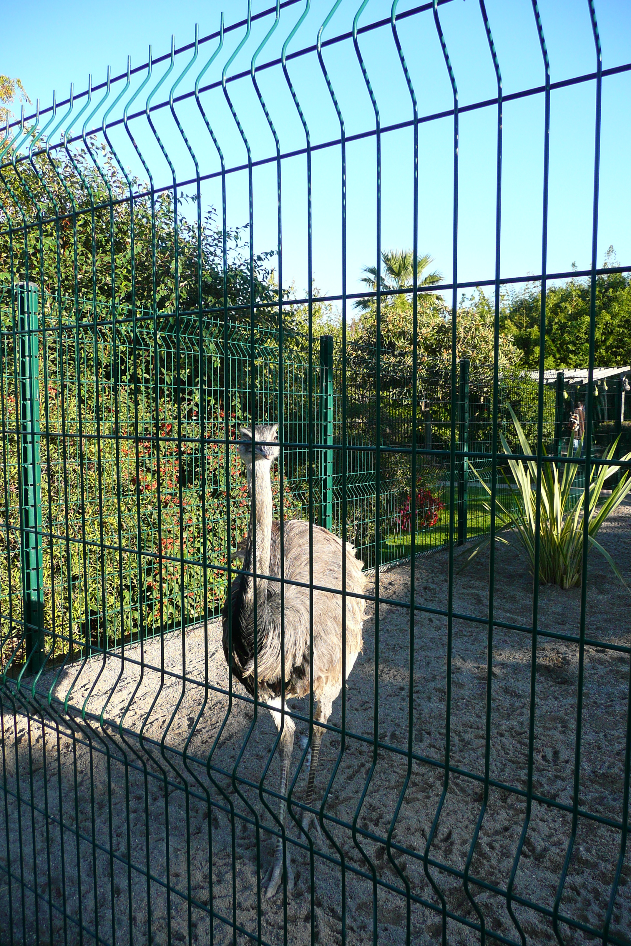 รูปถ่าย ฝรั่งเศส(France) นีส(Nice) สวนฟีนิกซ์(Phoenix Parc) 2007-10 7