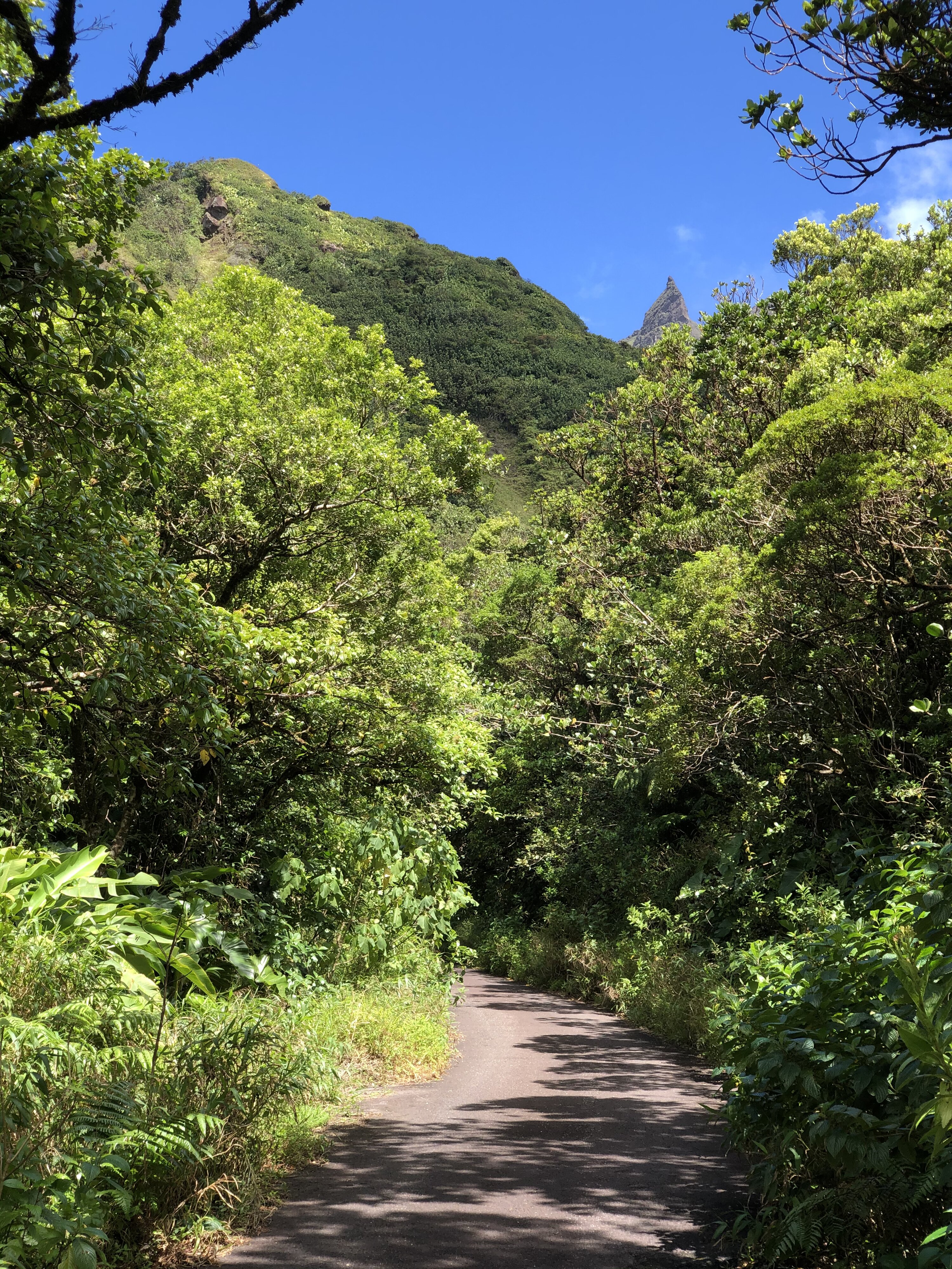 รูปถ่าย กวาเดอลูป(Guadeloupe) ภูเขาไฟลากร็องด์ซูฟรีแยร์(La Grande Soufriere) 2021-02 1