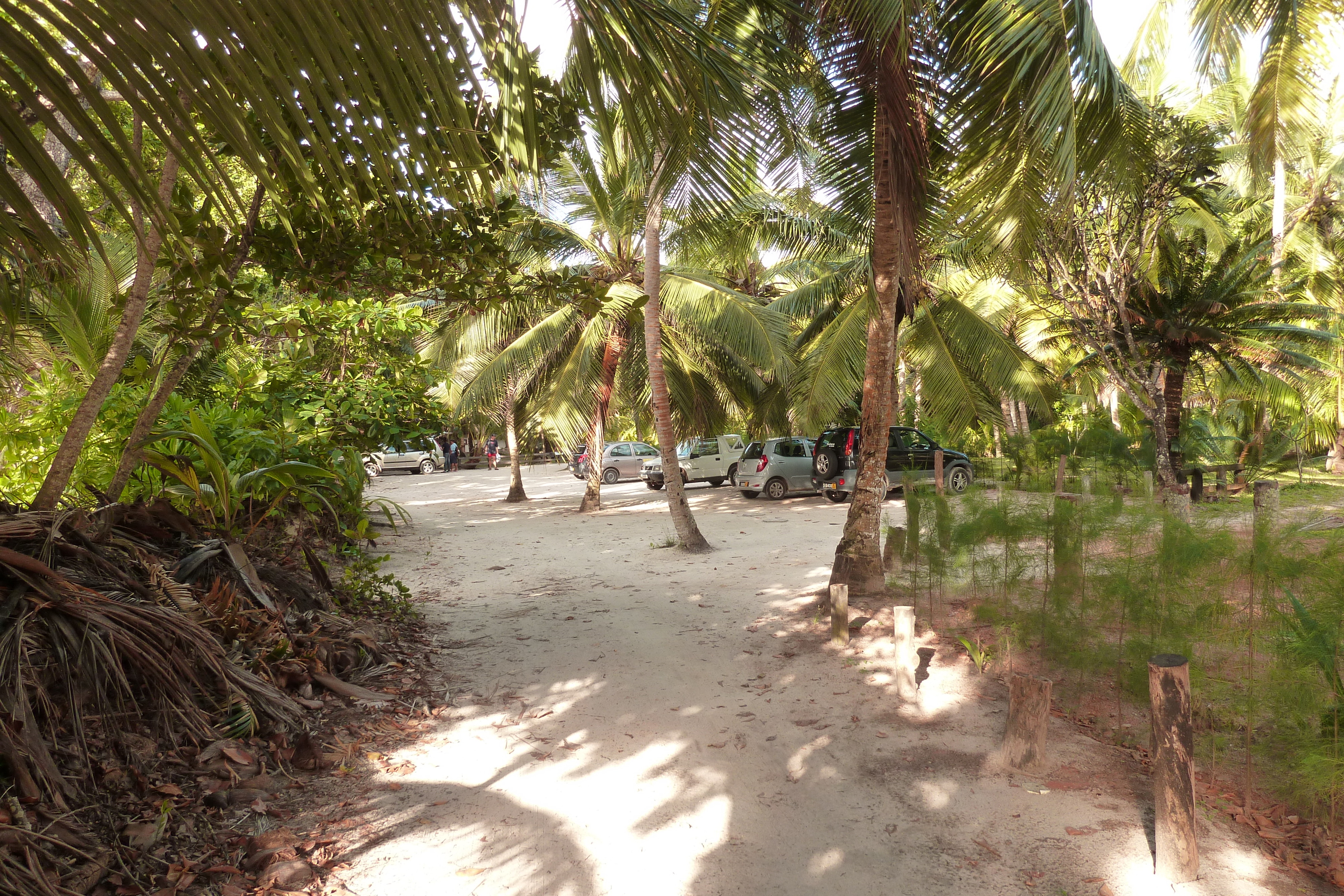 รูปถ่าย เซเชลส์(Seychelles) อ่าวอ็องส์ลาซิโอ(Anse Lazio) 2011-10 48