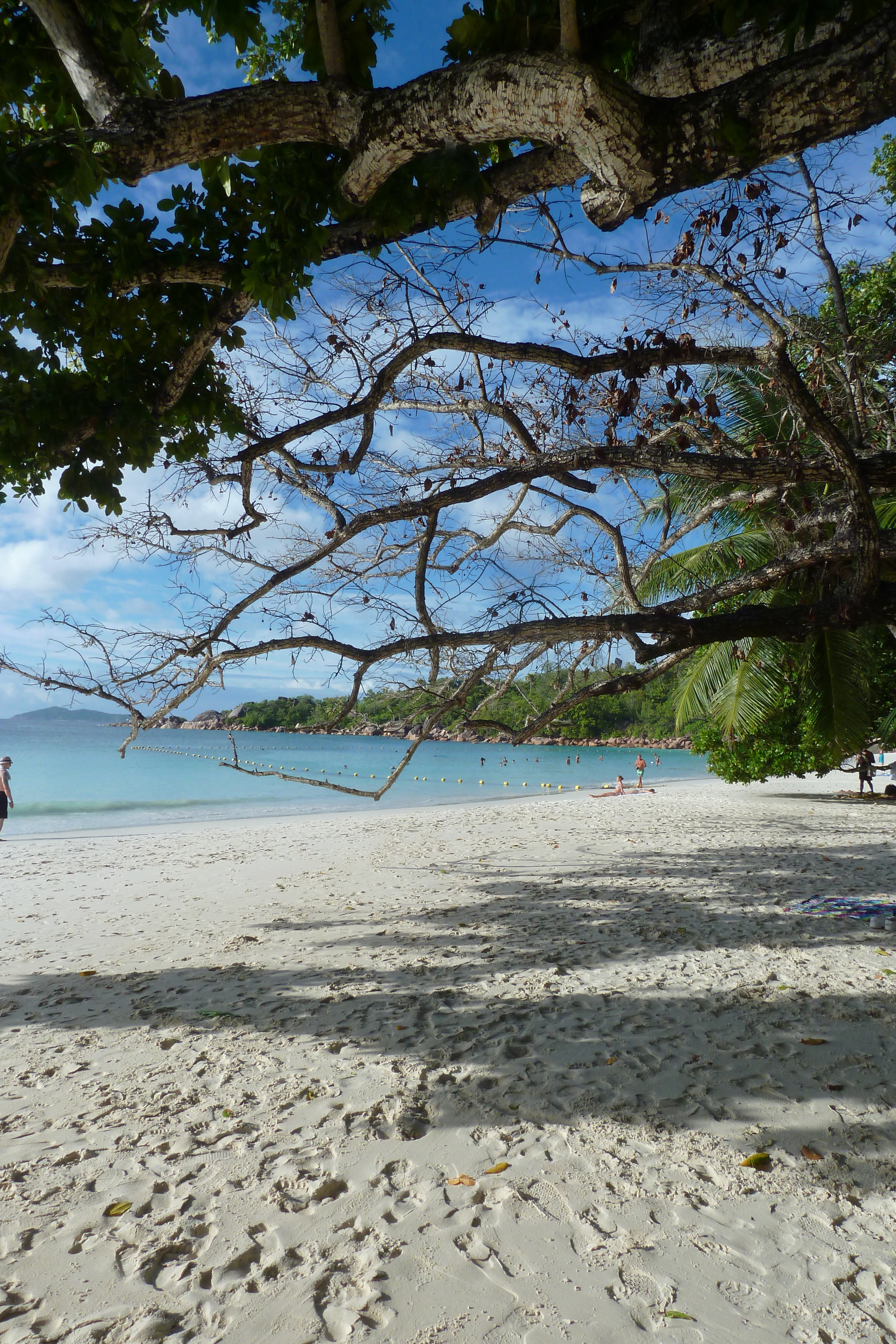 รูปถ่าย เซเชลส์(Seychelles) 2011-10 130