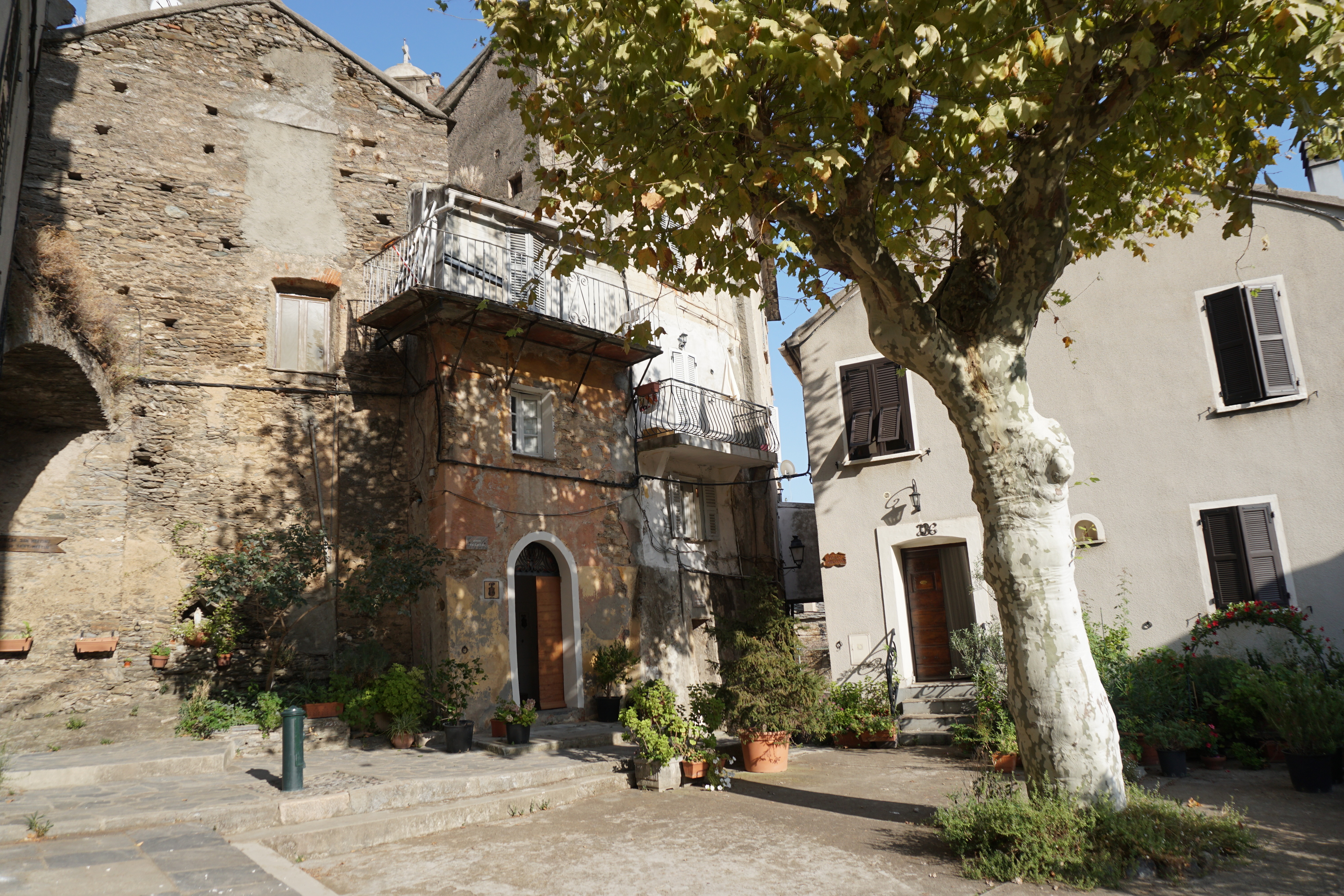 รูปถ่าย ฝรั่งเศส(France) คอร์สิคา(Corsica) เวสโกวาโต(Vescovato) 2017-09 39