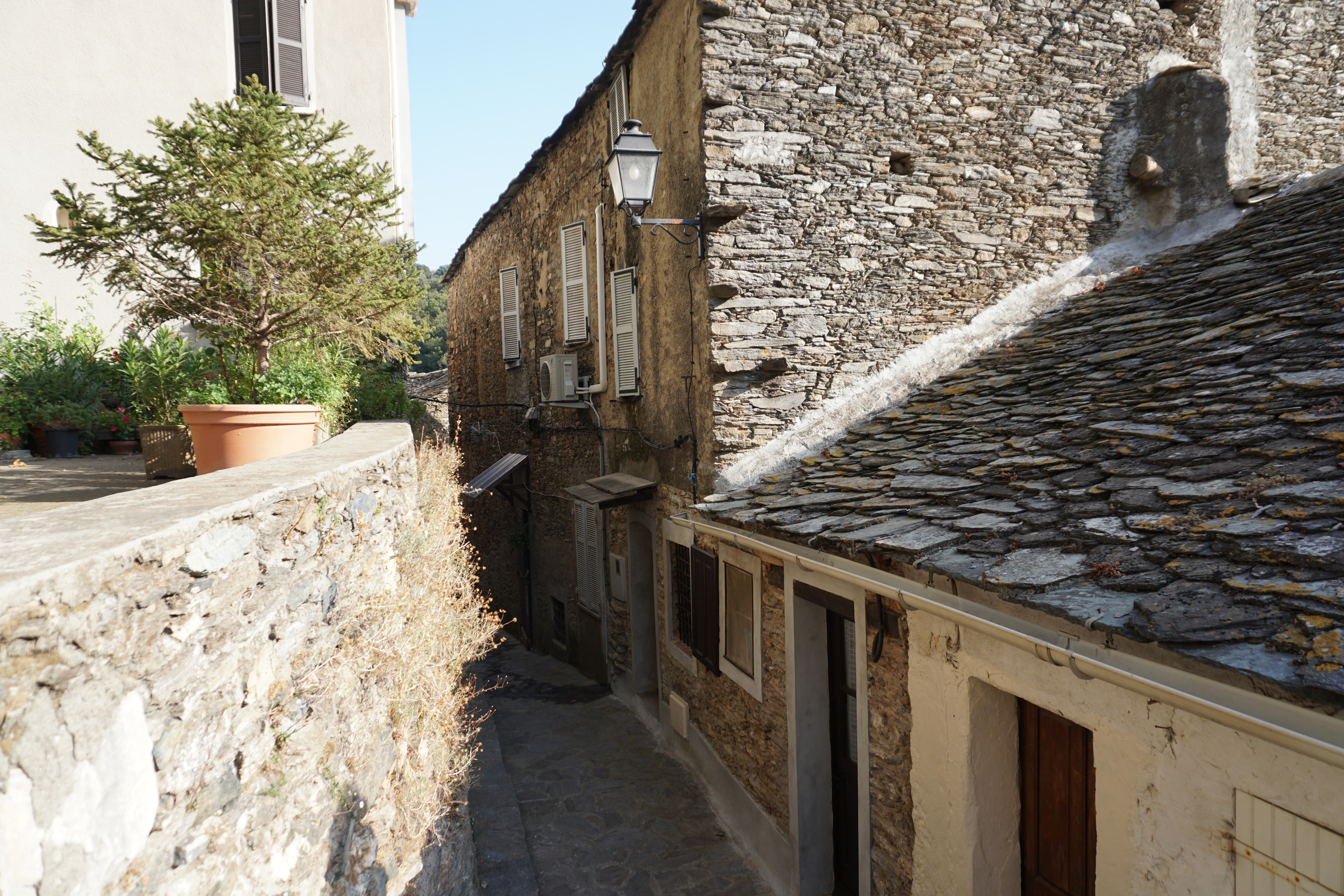 รูปถ่าย ฝรั่งเศส(France) คอร์สิคา(Corsica) เวสโกวาโต(Vescovato) 2017-09 29