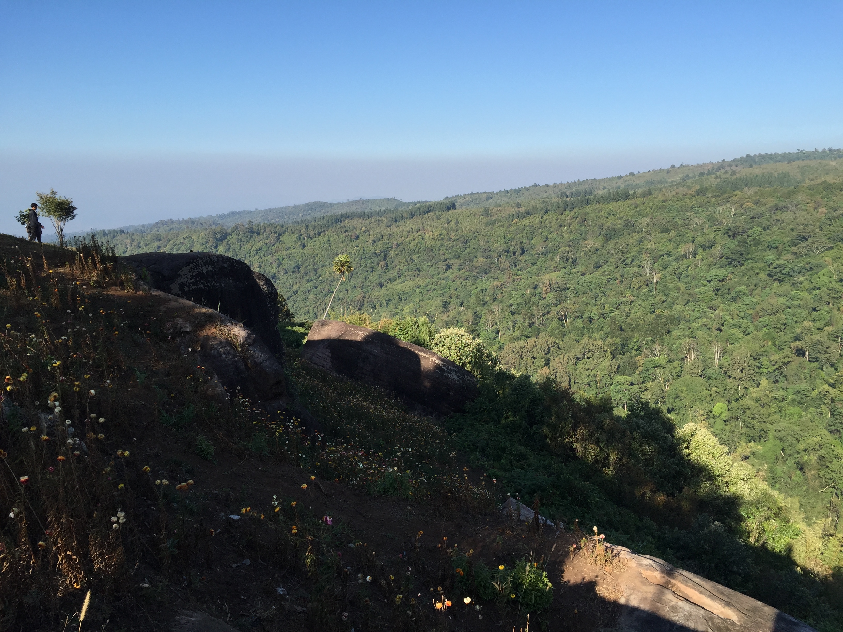รูปถ่าย ไทย(Thailand) อุทยานแห่งชาติภูหินร่องกล้า(Phu Hin Rong Kla National Park) 2014-12 276