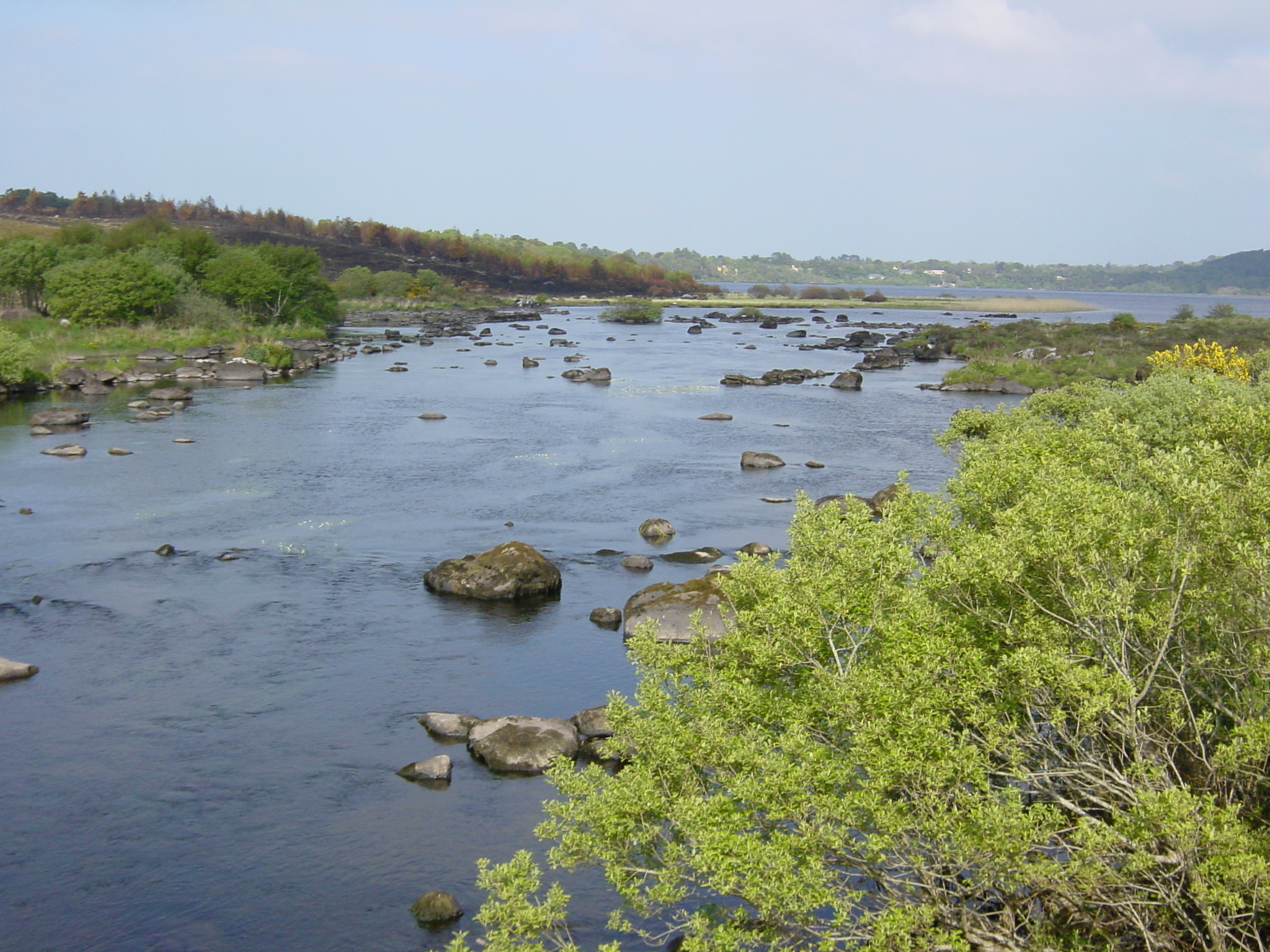 รูปถ่าย ไอร์แลนด์(Ireland) เคอร์รี่(Kerry) ทะเลสาบคารา(Caragh Lake) 2004-05 39