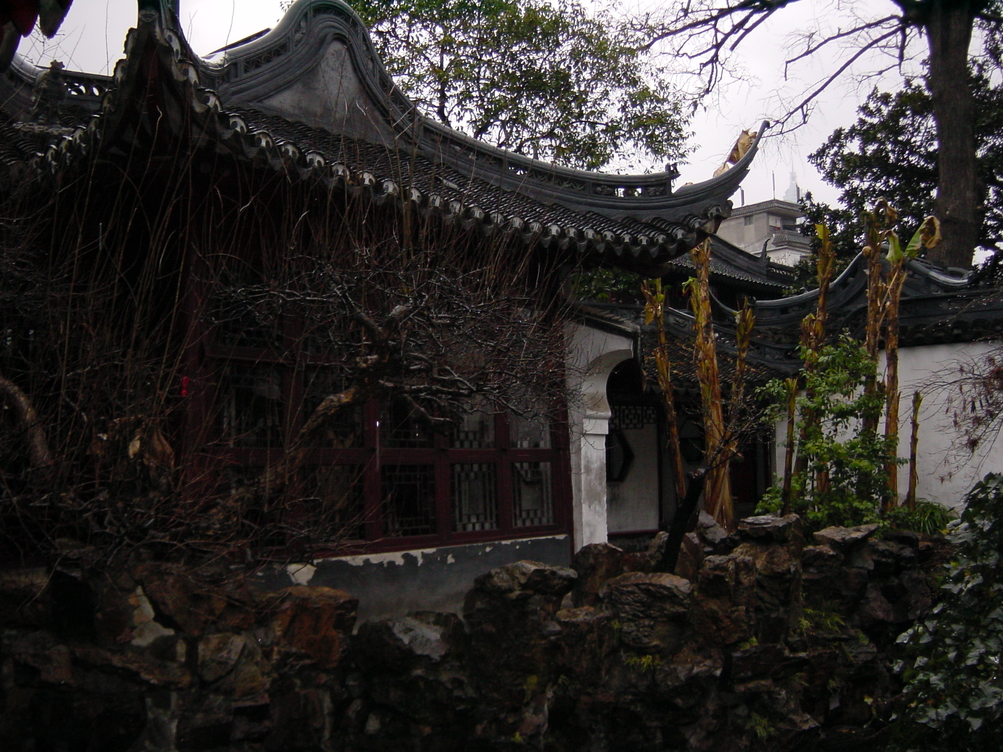 รูปถ่าย จีน(China) เซี่ยงไฮ้(Shanghai) 2002-01 210