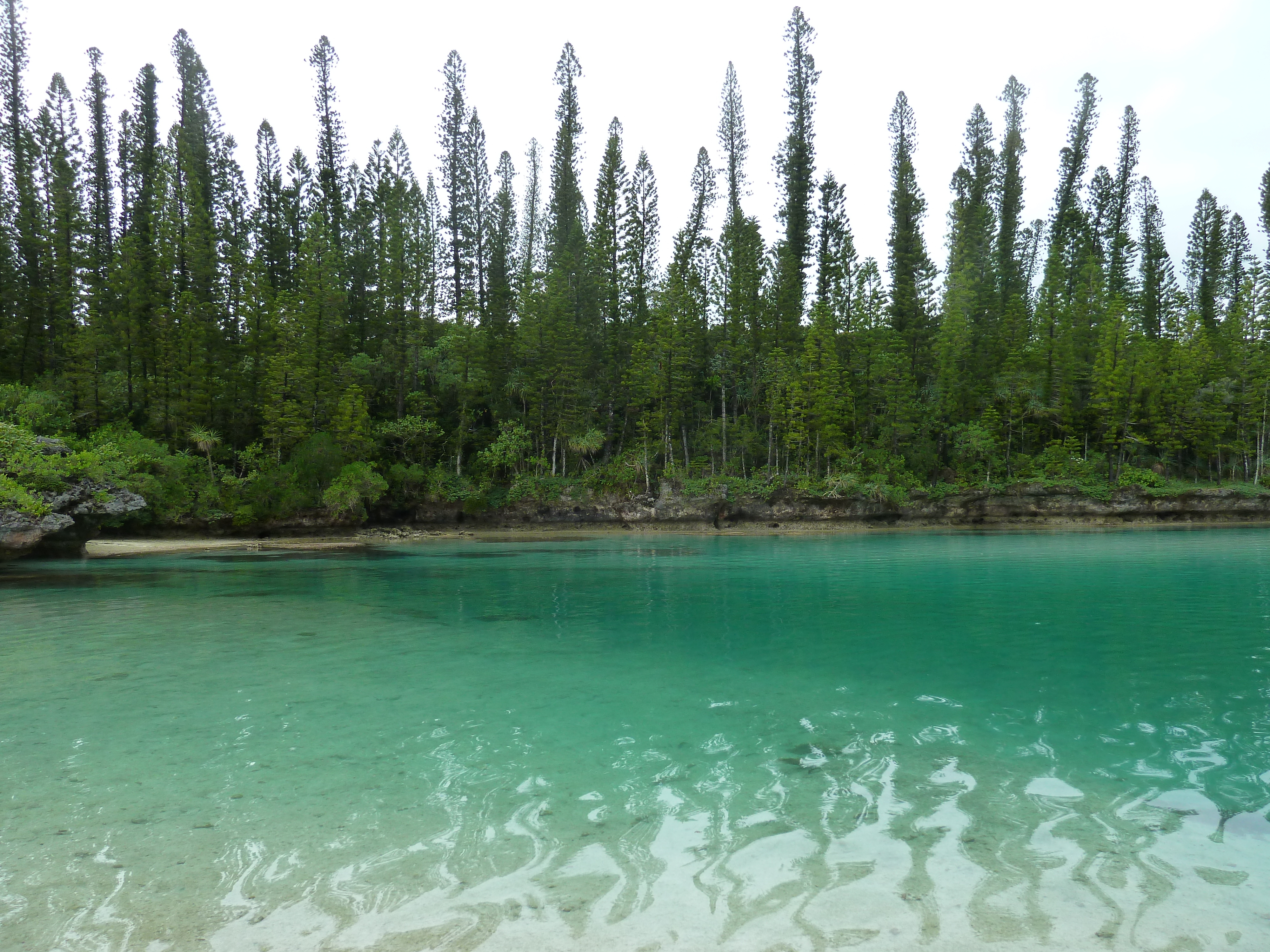 รูปถ่าย นิวแคลิโดเนีย(New Caledonia) เกาะต้นสน(Ile des pins) อ่าวโอโร(Oro Bay) 2010-05 90