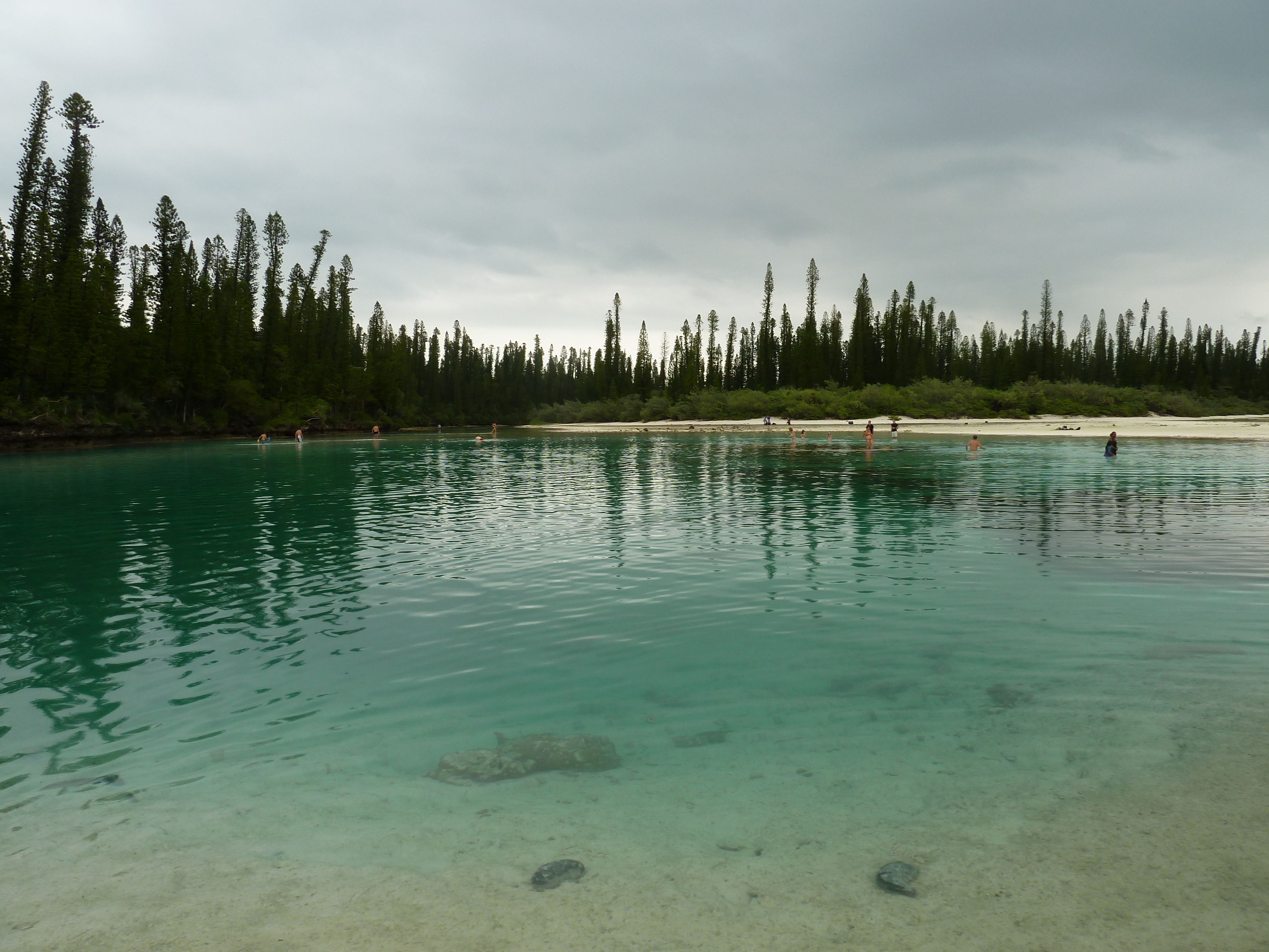 รูปถ่าย นิวแคลิโดเนีย(New Caledonia) เกาะต้นสน(Ile des pins) อ่าวโอโร(Oro Bay) 2010-05 99