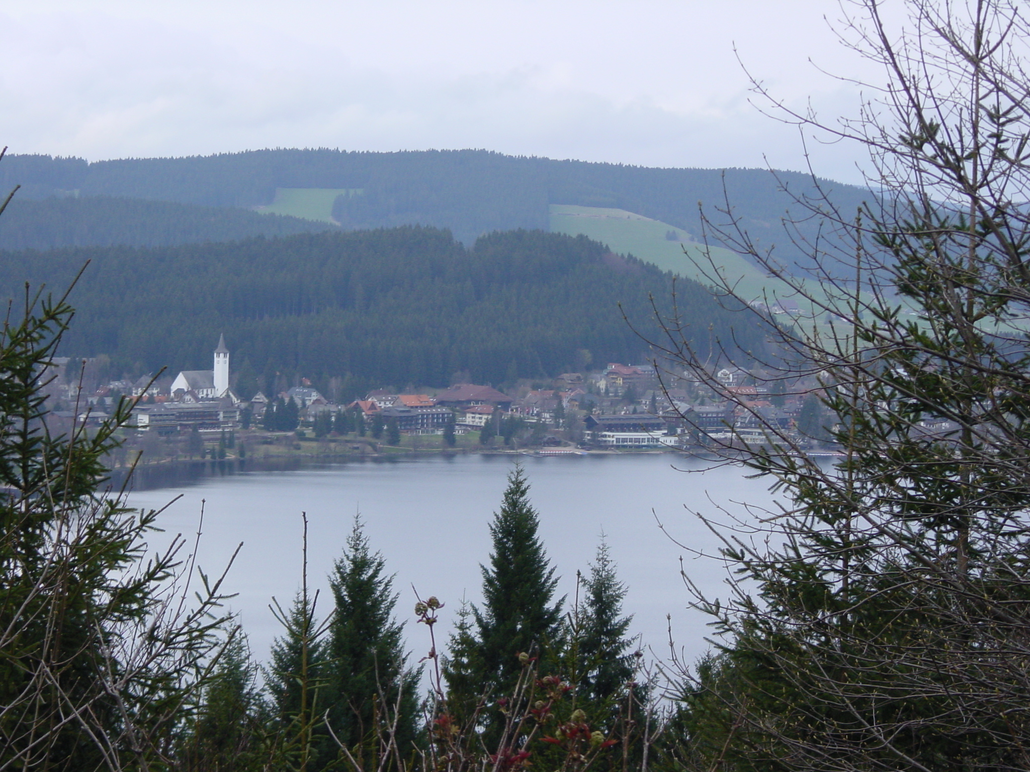 รูปถ่าย เยอรมนี(Germany) ป่าสนเขา(Black Forest) 2002-04 3