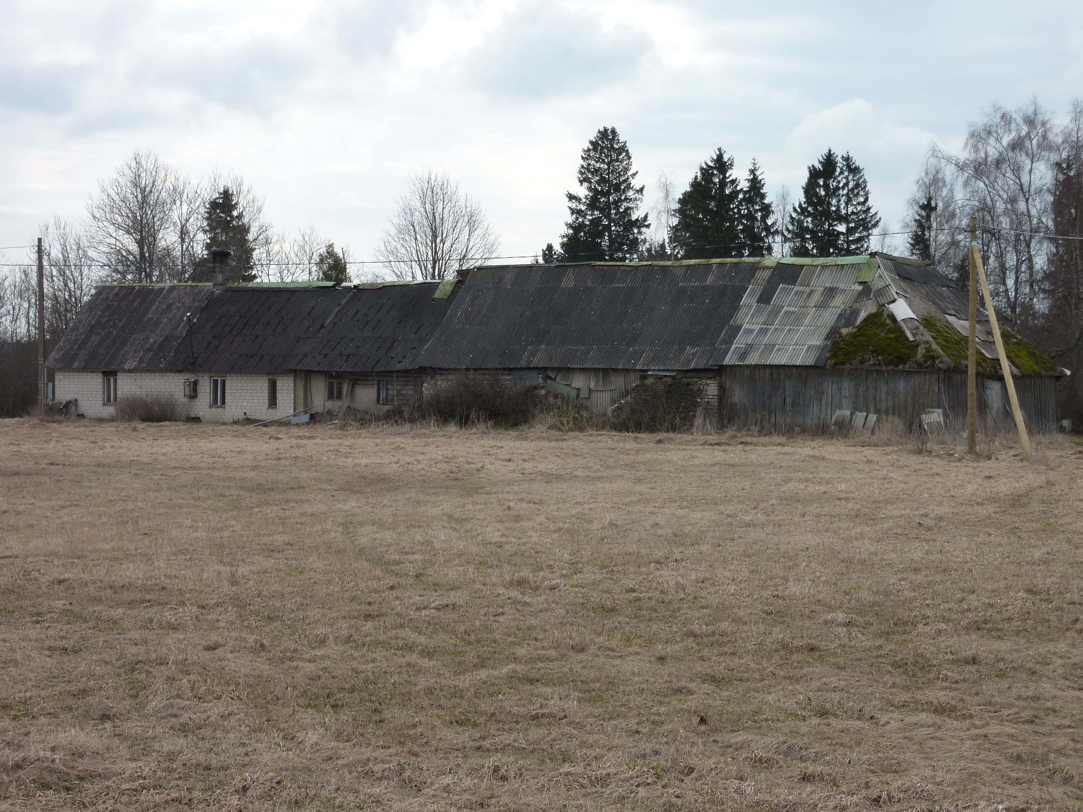 รูปถ่าย เอสโตเนีย(Estonia) ถนนจากทาลลินน์ไปฮาปซาลู(Tallinn to Haapsalu road) 2009-04 6