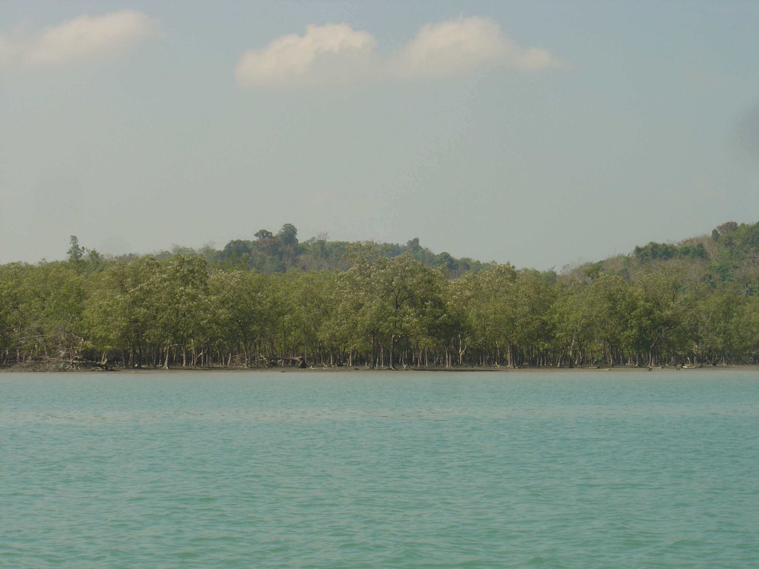 รูปถ่าย พม่า(Myanmar) มะริด(Myeik (Mergui)) 2005-01 130