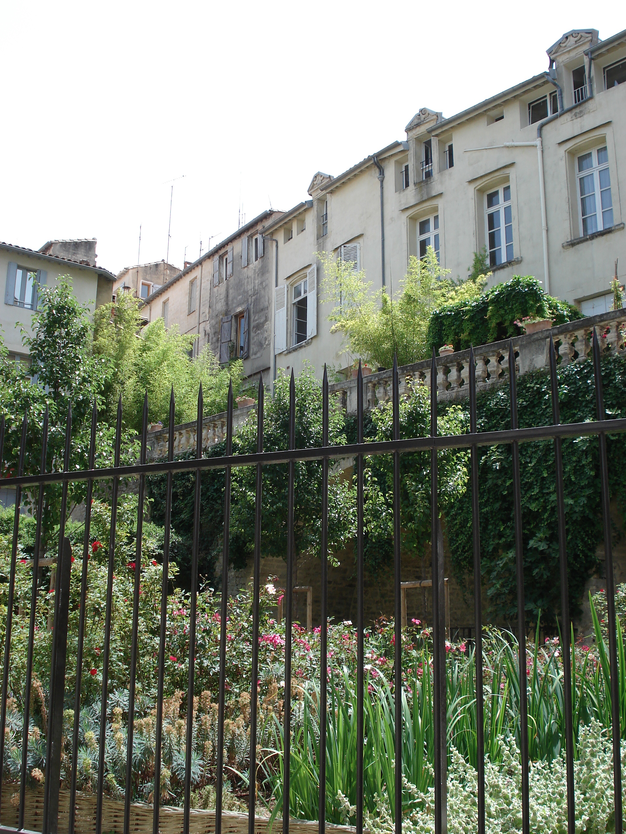 รูปถ่าย ฝรั่งเศส(France) มงเปลลีเยร์(Montpellier) 2006-06 84