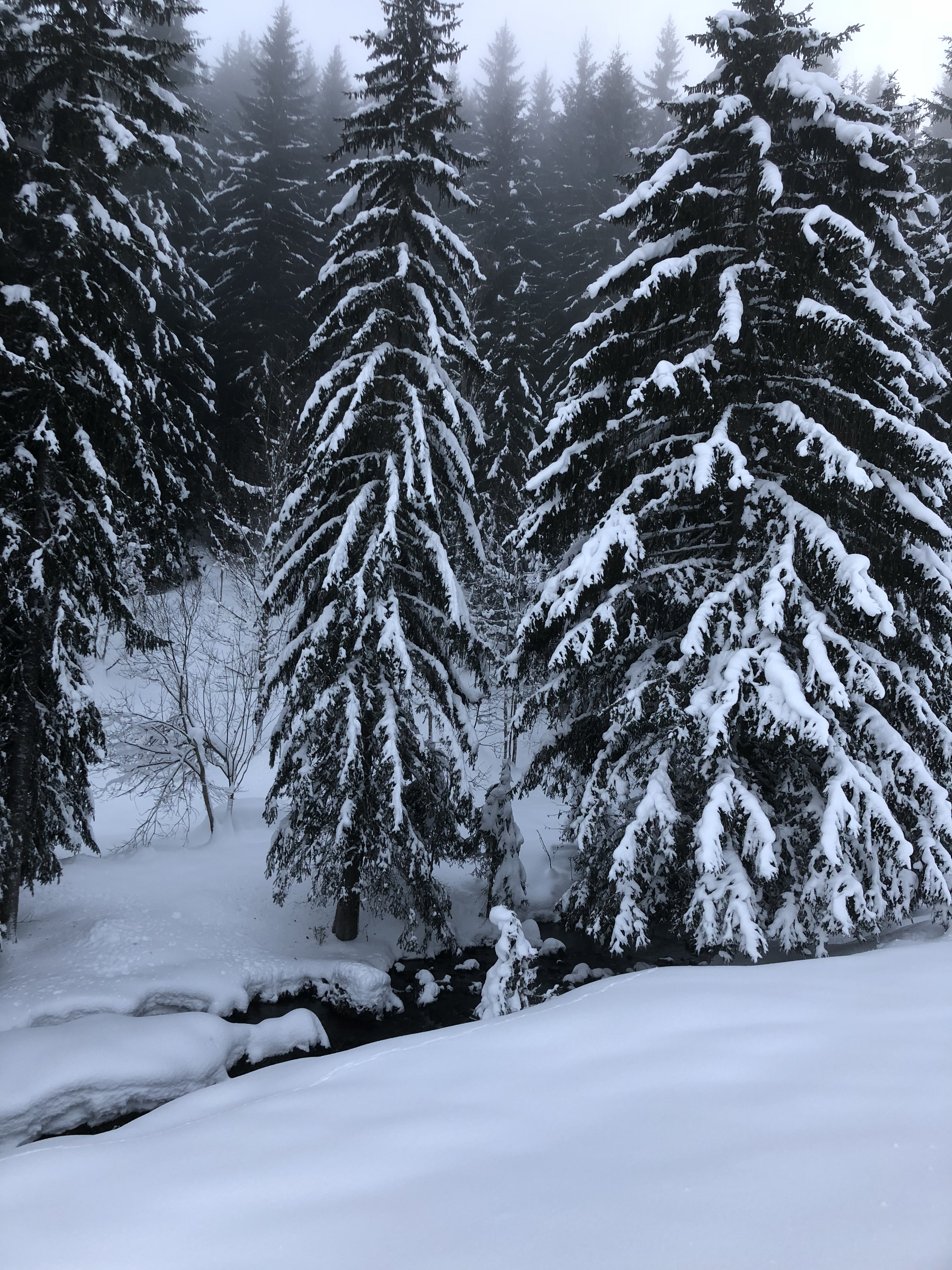 รูปถ่าย ฝรั่งเศส(France) ลากลูซา(La Clusaz) 2017-12 213