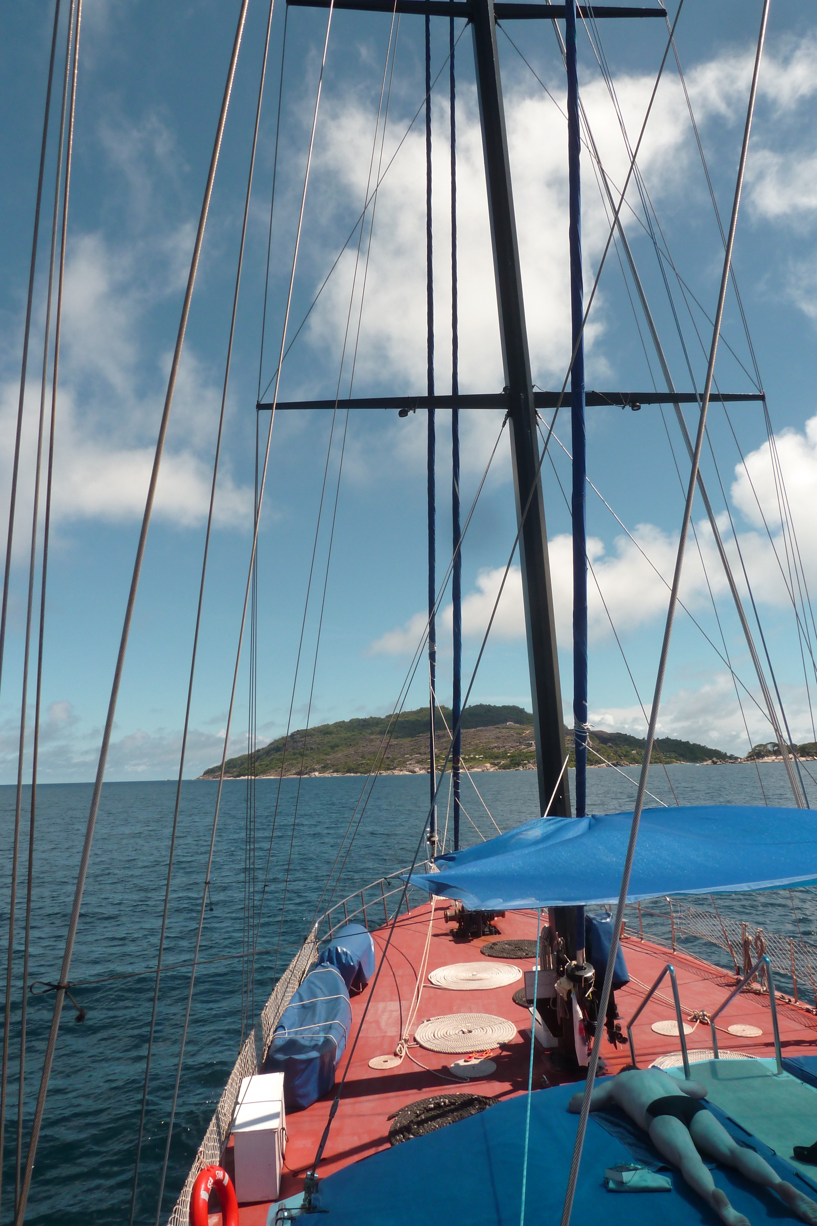 รูปถ่าย เซเชลส์(Seychelles) ซีสตาร์(Sea Star) 2011-10 31