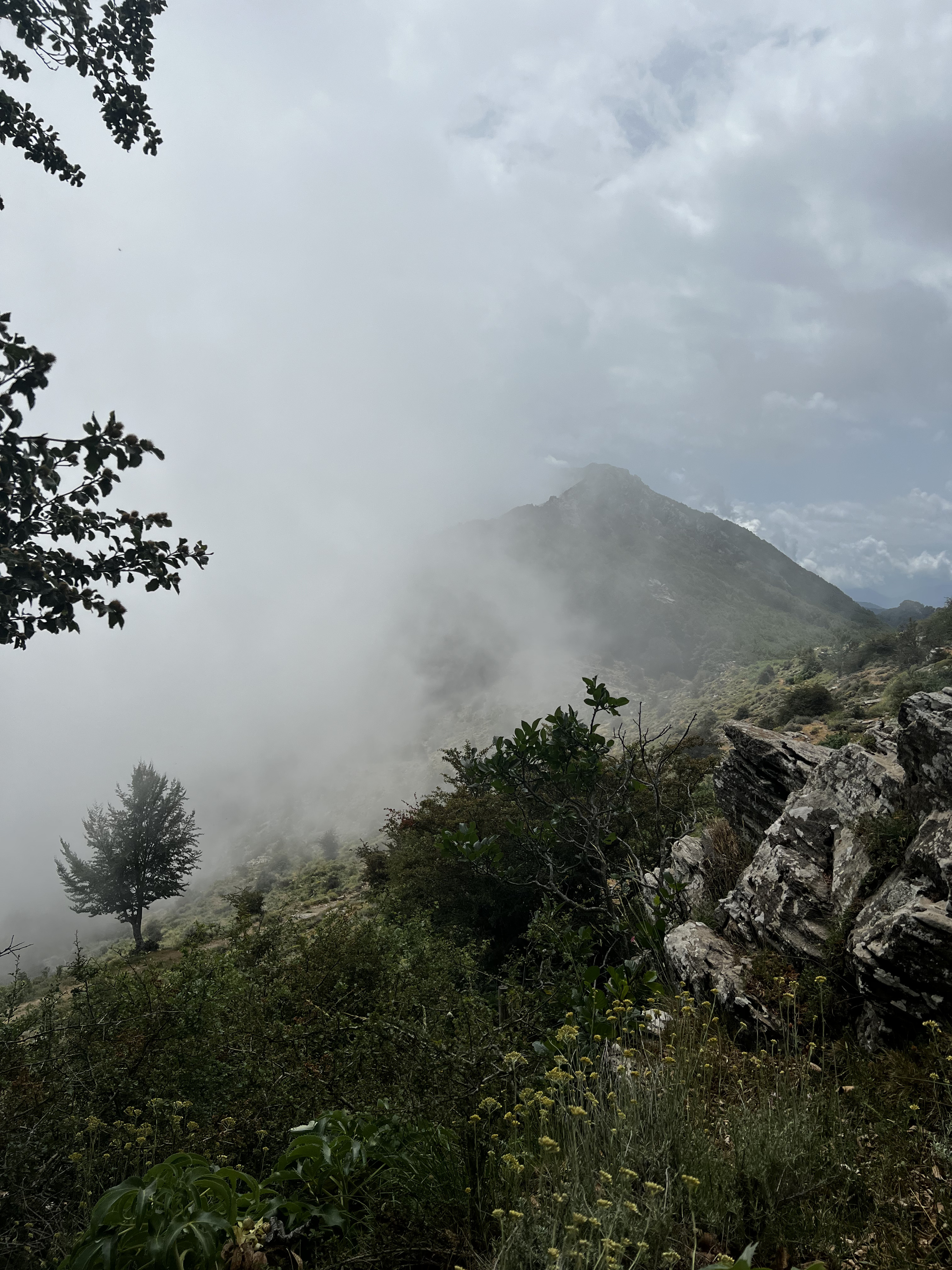 รูปถ่าย ฝรั่งเศส(France) คอร์สิคา(Corsica) ที่พักกัลเลรุชชู(Refuge de Callerucciu) 2022-06 57